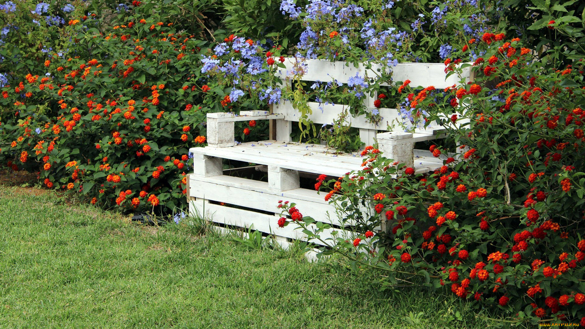 цветы, цветущие, деревья, , , кустарники, кусты, цветущие