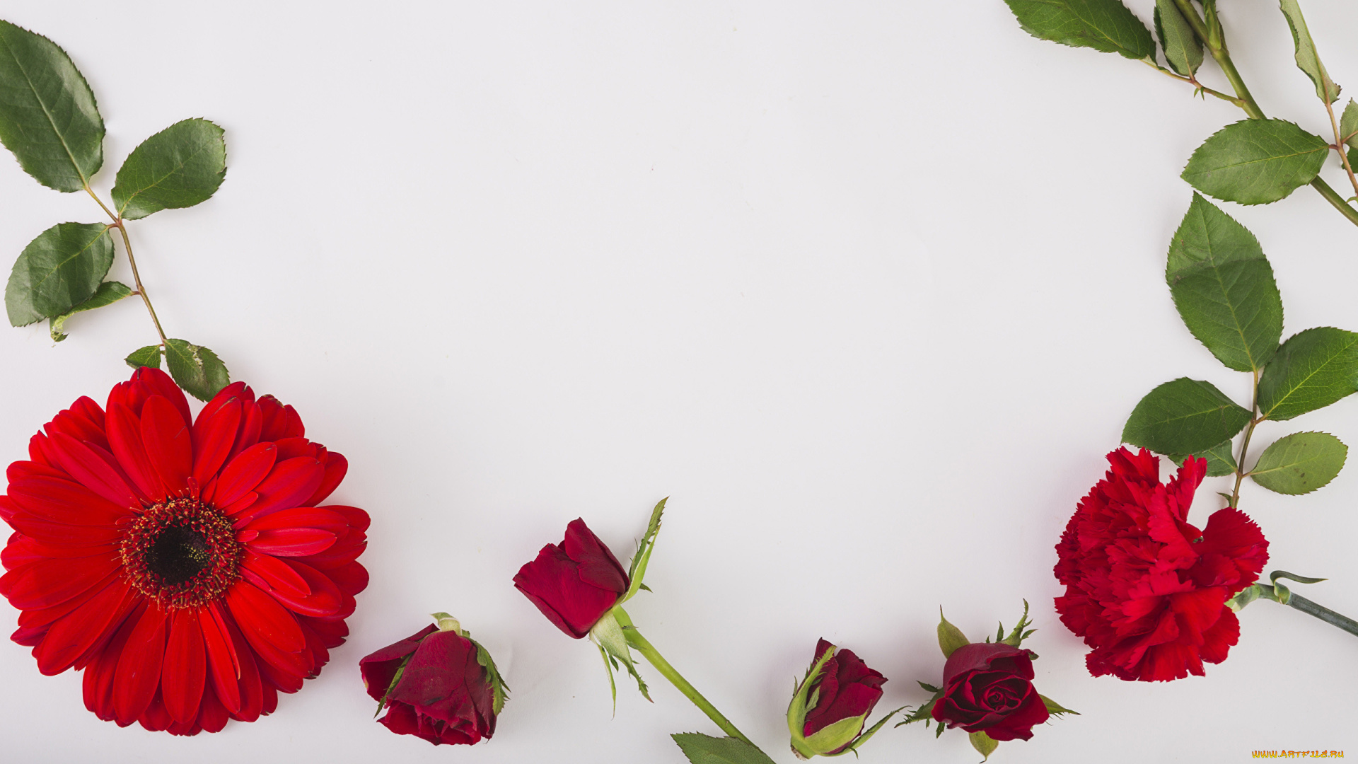 цветы, разные, вместе, розы, гербера, гвоздика