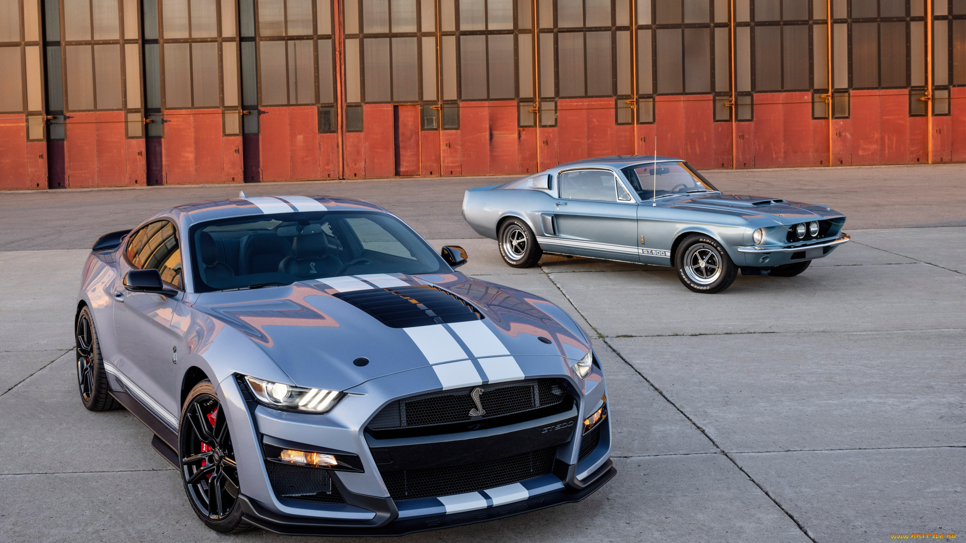 автомобили, mustang, ford, shelby