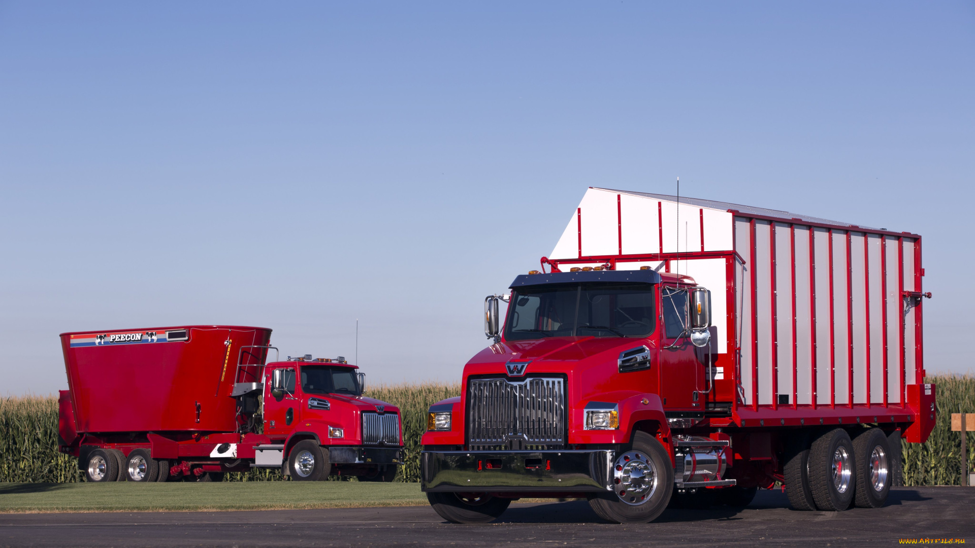 автомобили, western, star, western, star