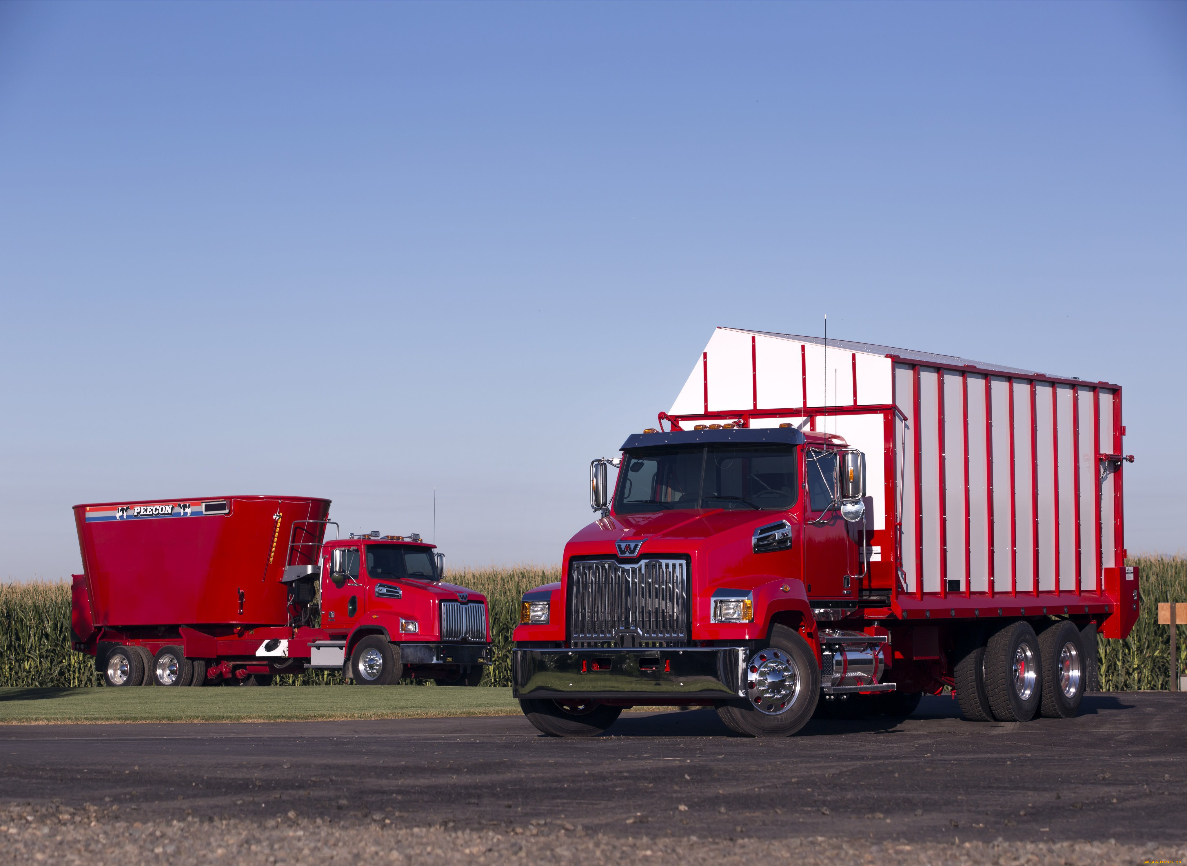 автомобили, western, star, western, star