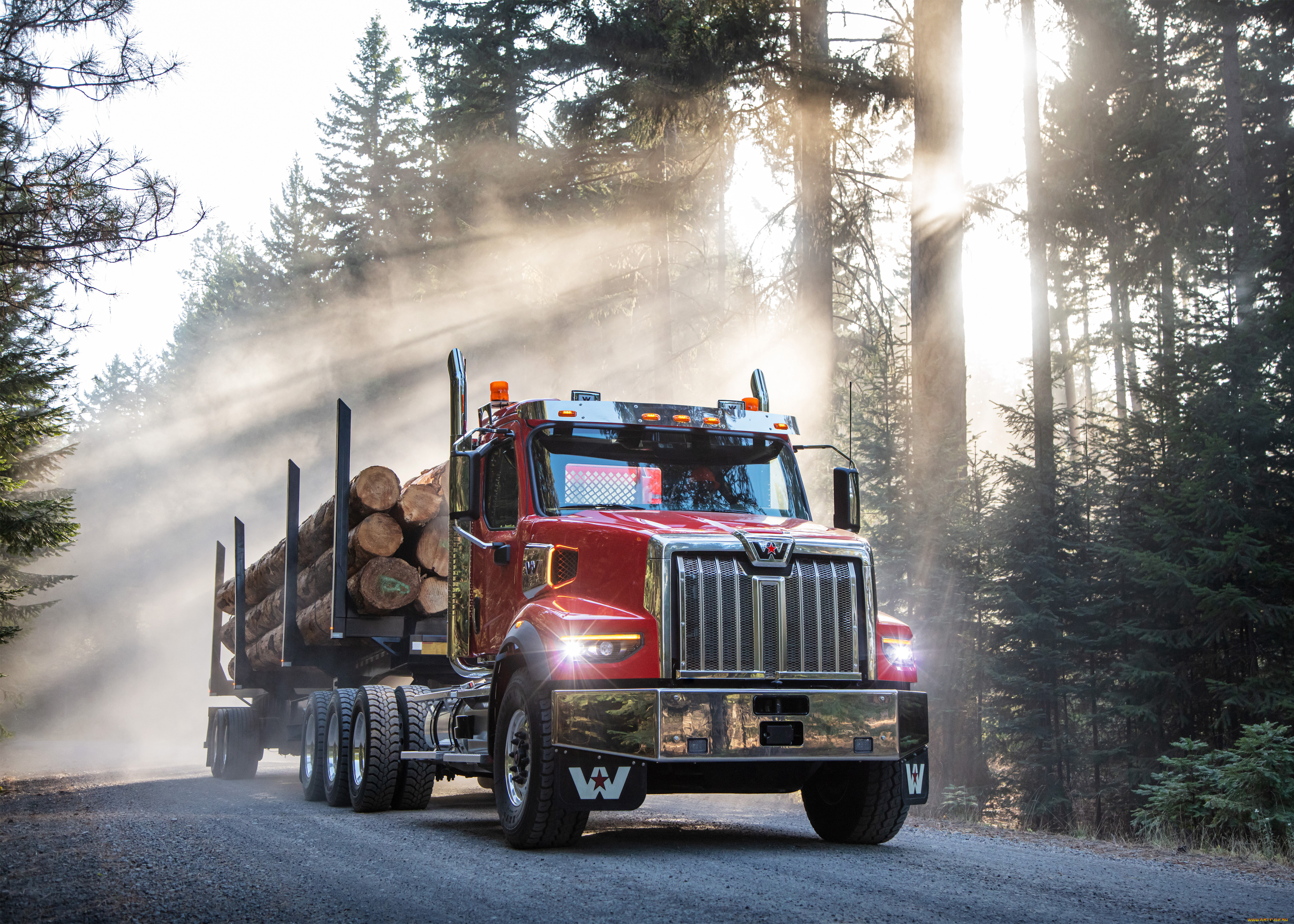 автомобили, western, star, western, star