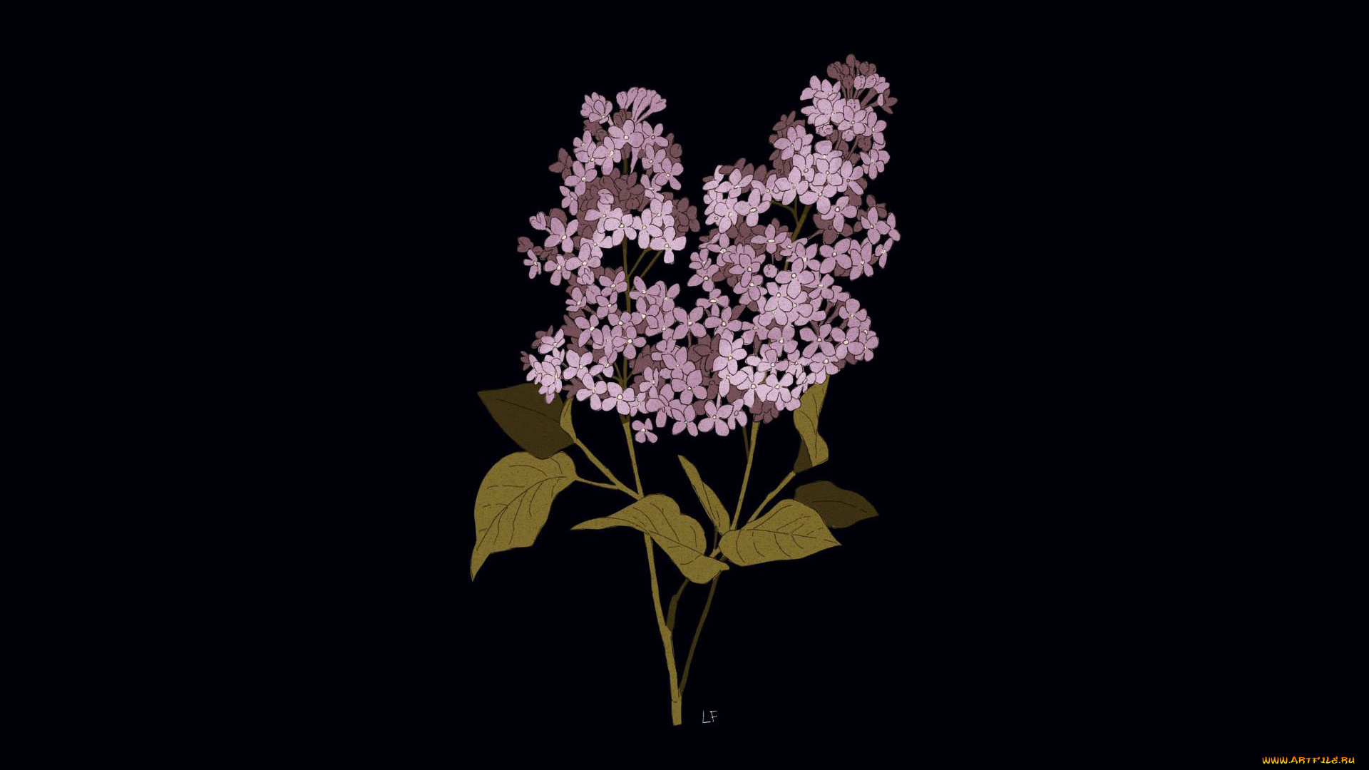 рисованное, цветы, сирень, ветки