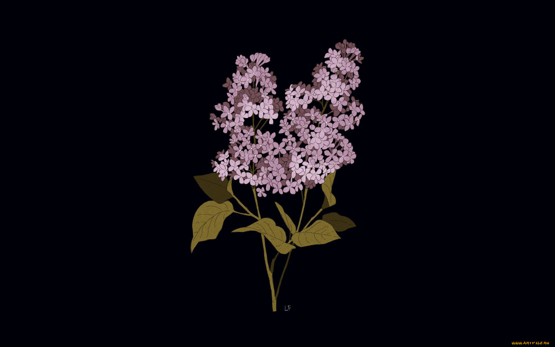 рисованное, цветы, сирень, ветки