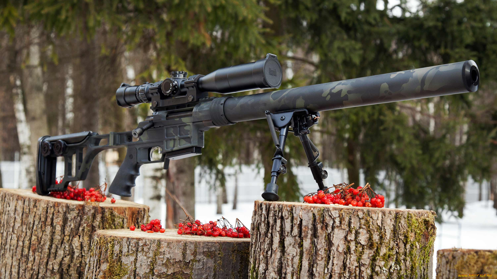 двл-10, м1, диверсант, оружие, снайперская, винтовка, снайперская, винтовка, лобаева, двл10, м1, диверсант, рябина