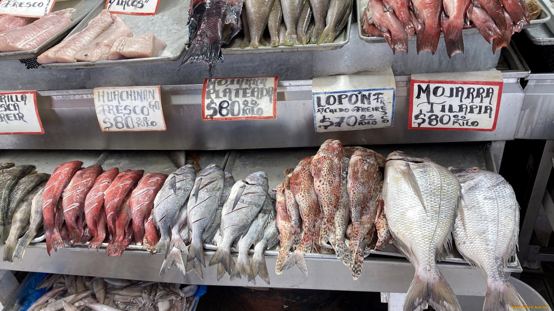 еда, рыба, , морепродукты, , суши, , роллы, свежая, ассорти