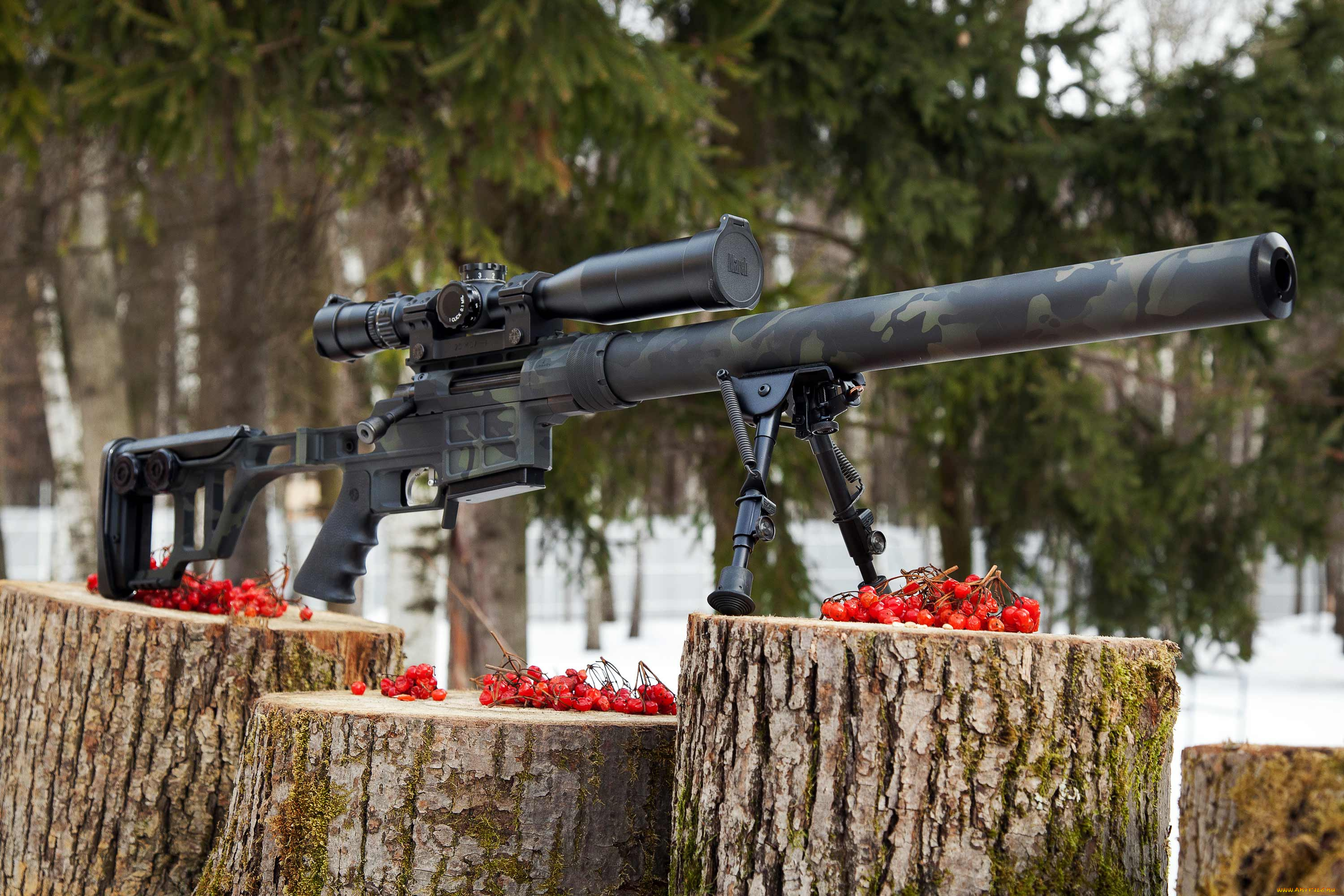 двл-10, м1, диверсант, оружие, снайперская, винтовка, снайперская, винтовка, лобаева, двл10, м1, диверсант, рябина