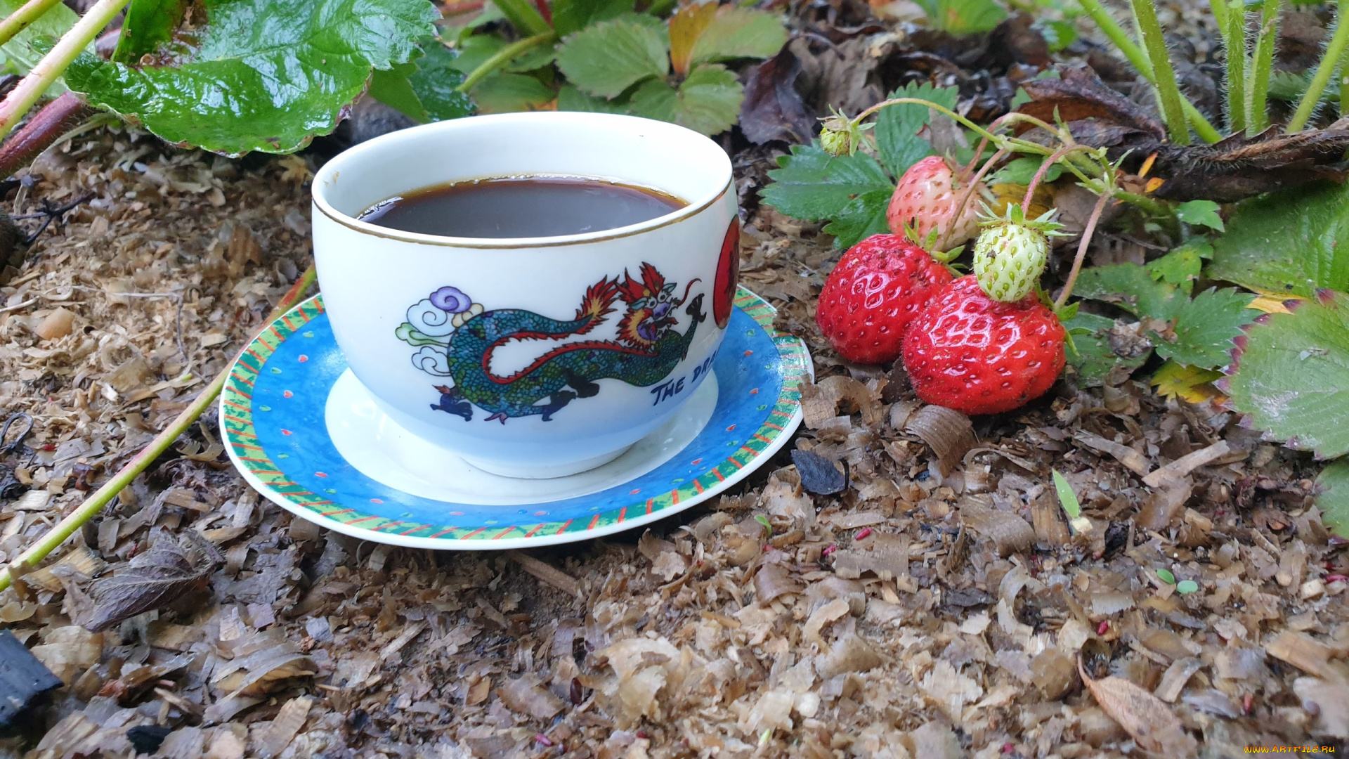 еда, кофе, , кофейные, зёрна, грядка, клубника, чашка, блюдце