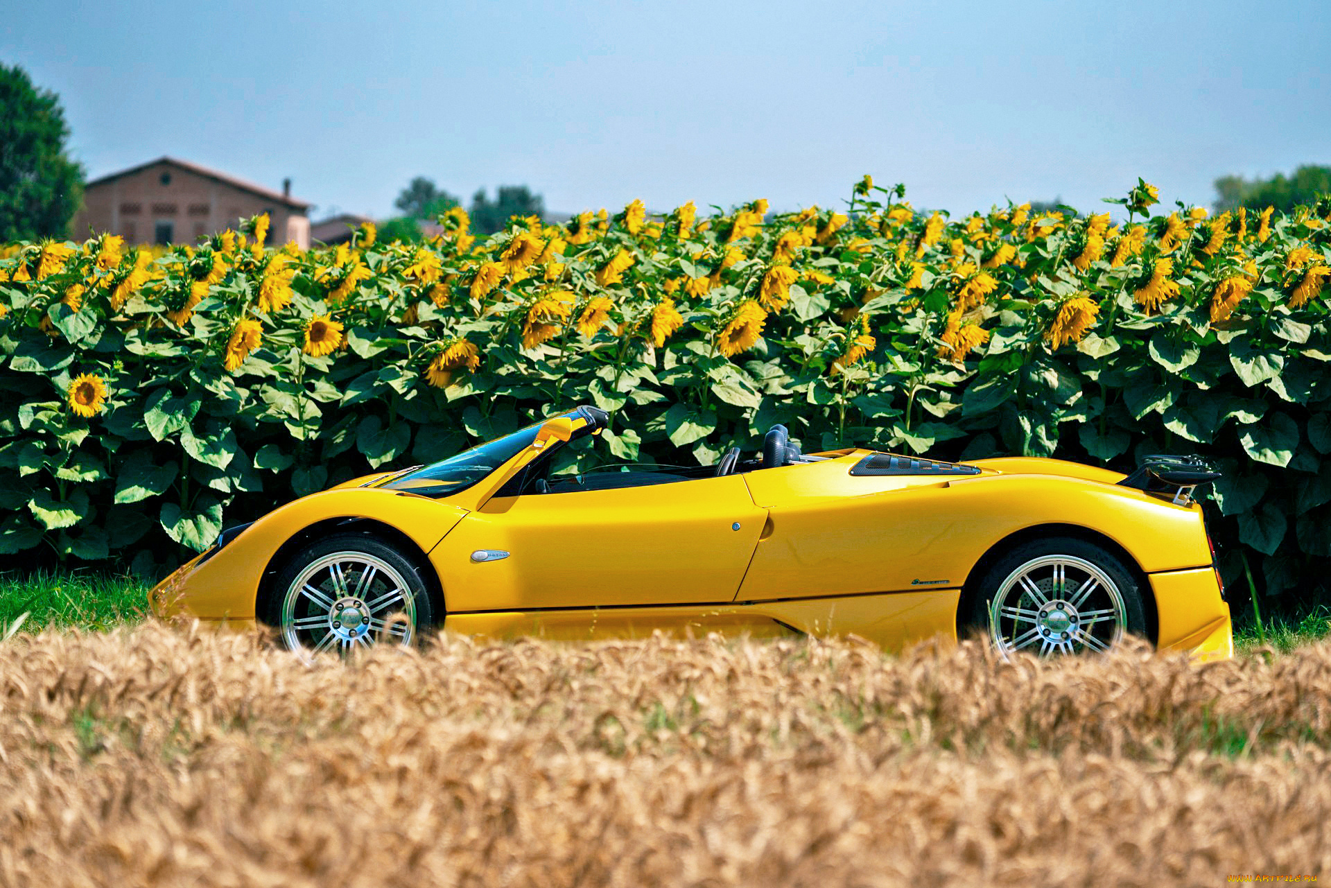 автомобили, pagani