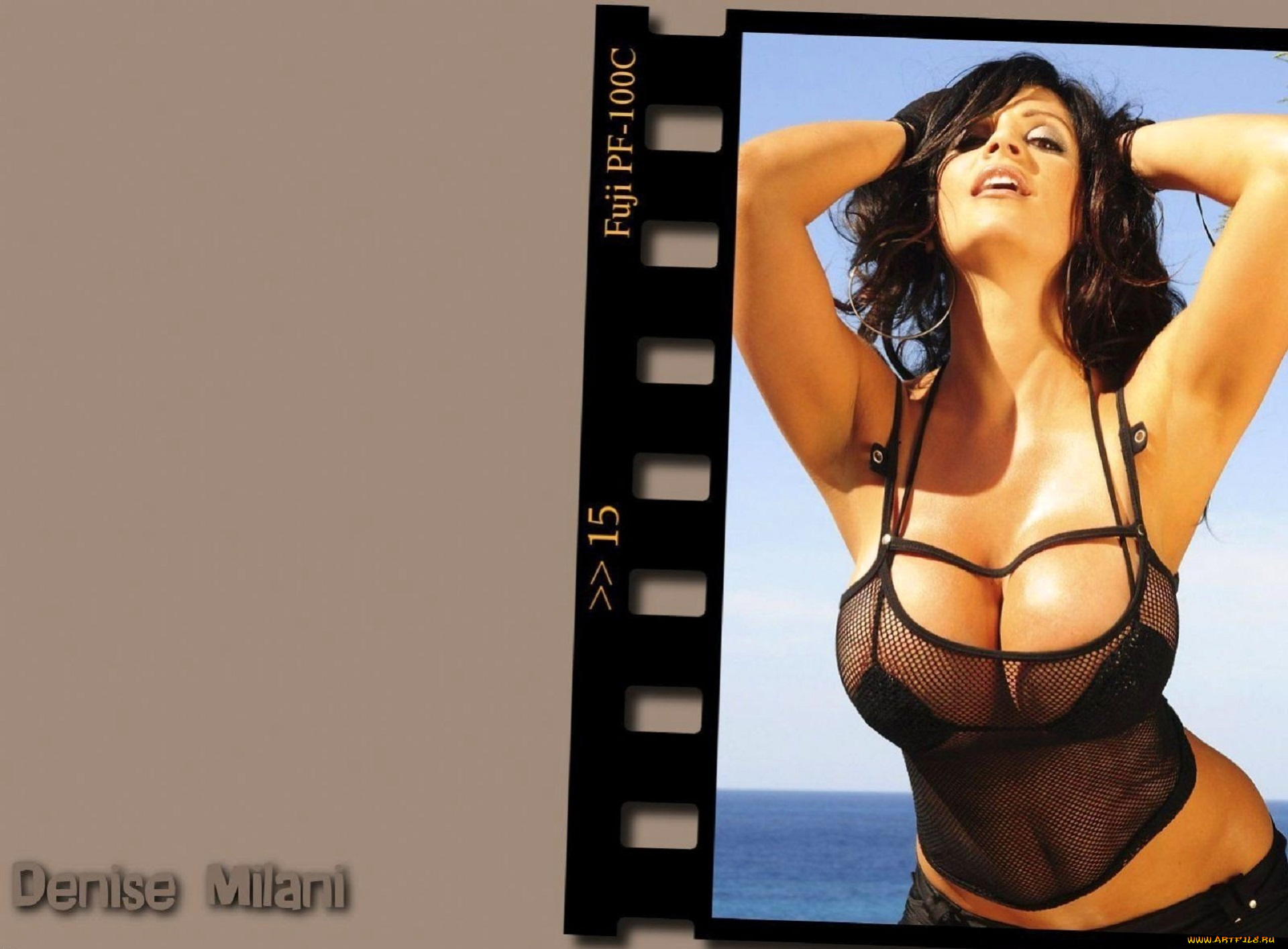 девушки, denise, milani, брюнетка, белье, топ, море