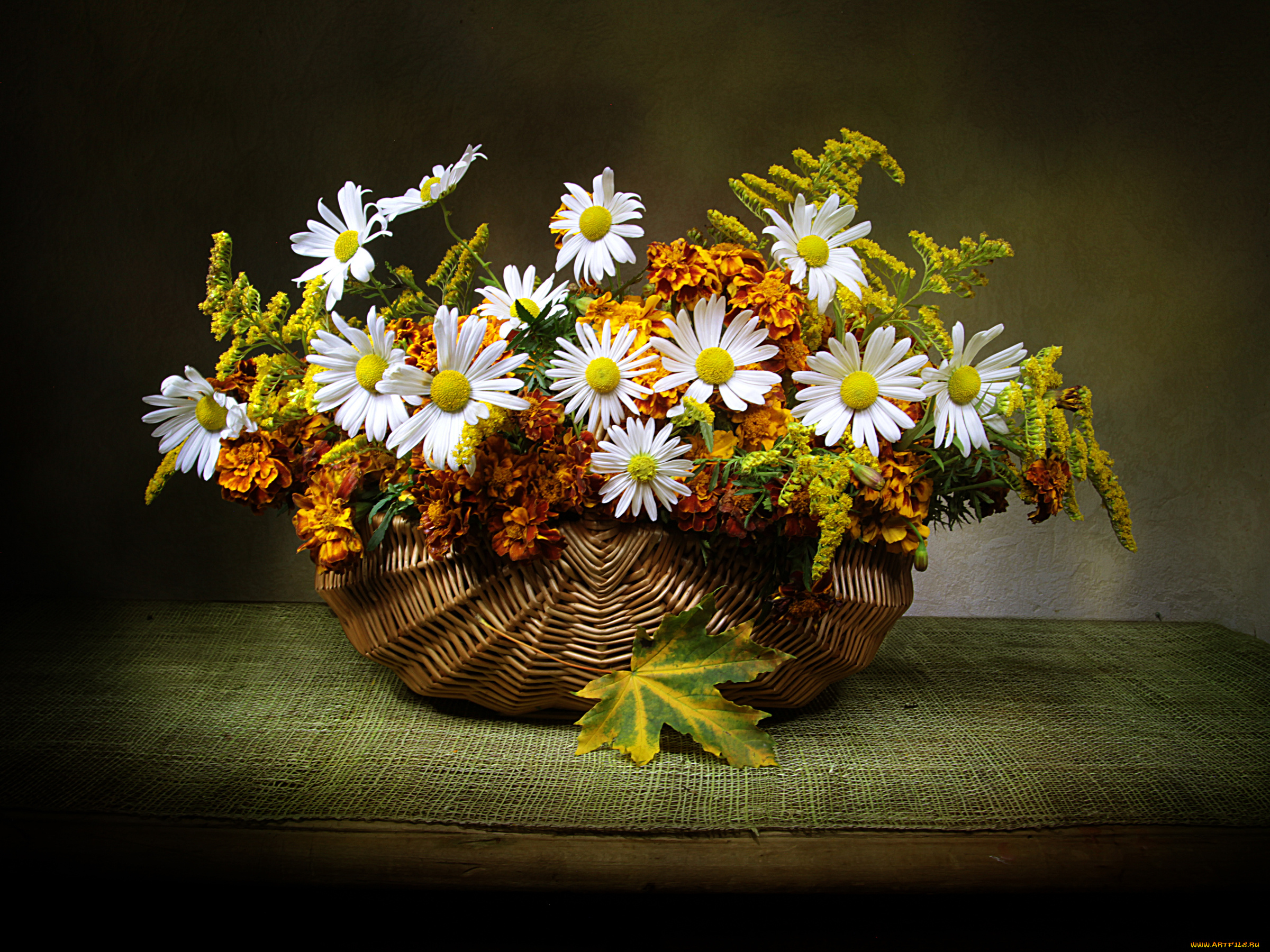 цветы, букеты, , композиции, букет