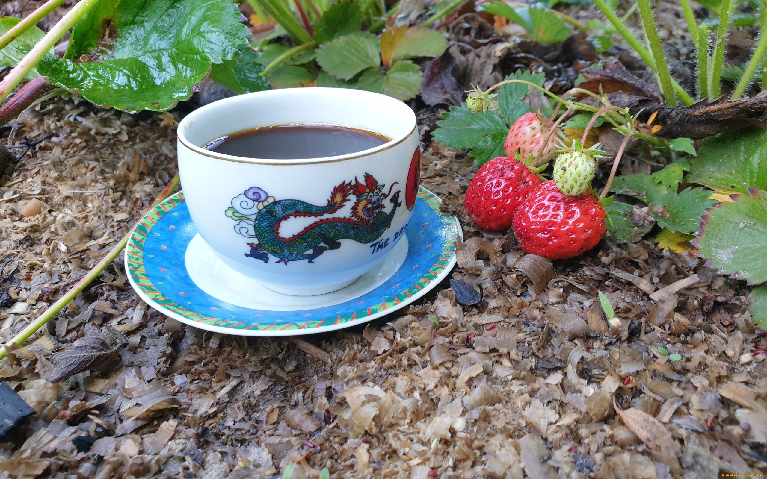 еда, кофе, , кофейные, зёрна, грядка, клубника, чашка, блюдце