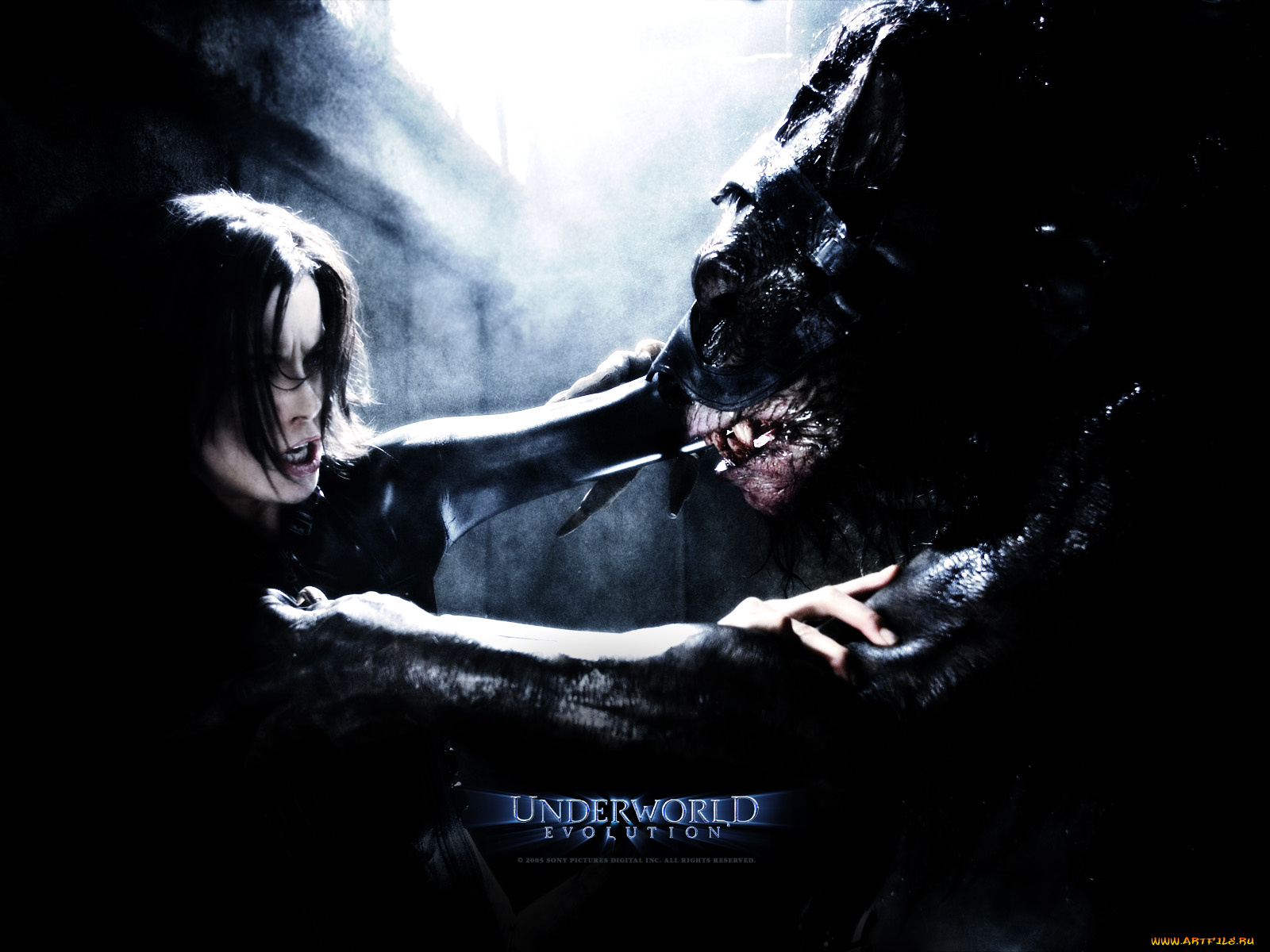 кино, фильмы, underworld, evolution