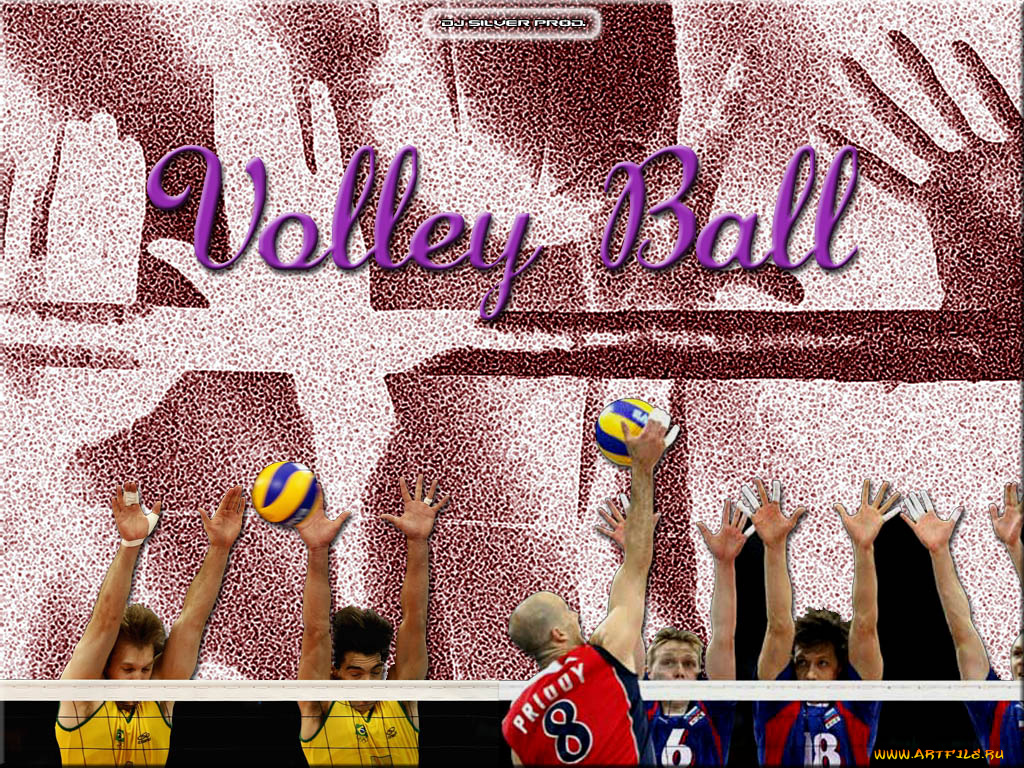 спорт, волейбол