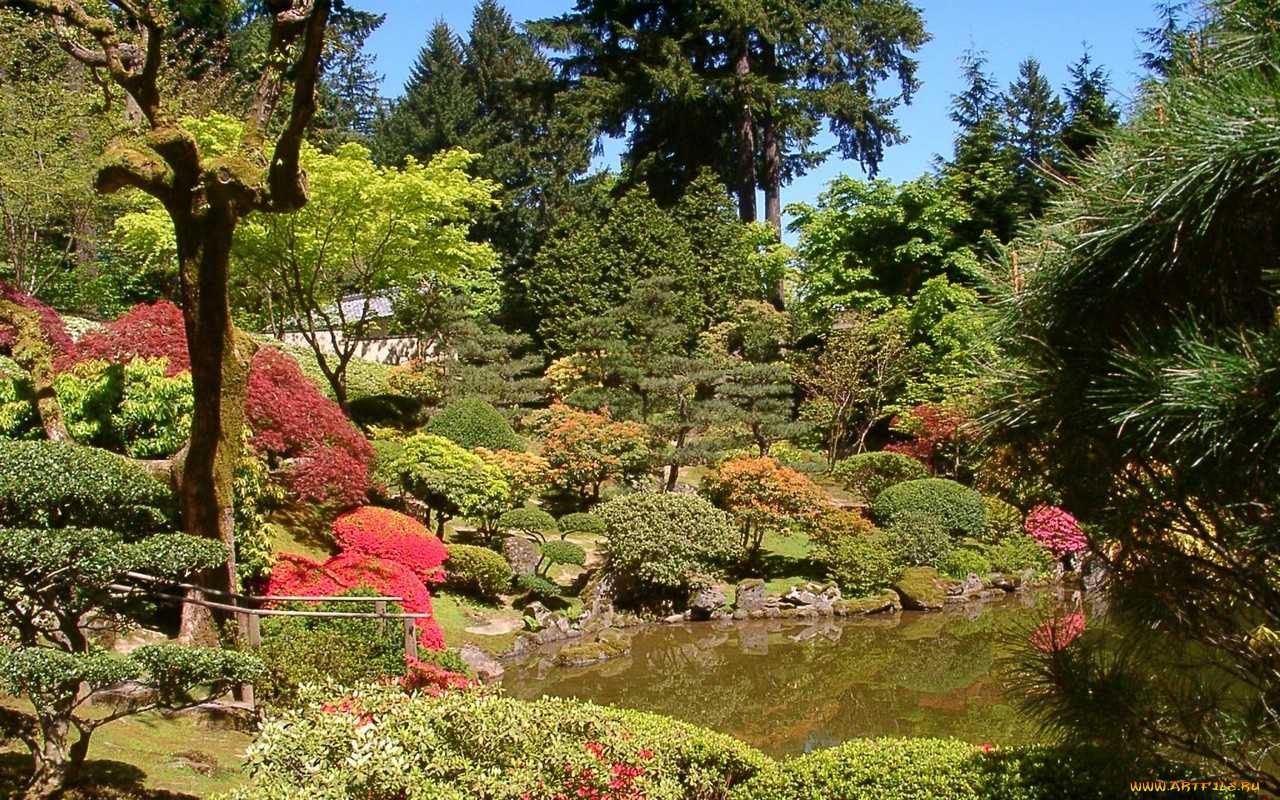 природа, парк