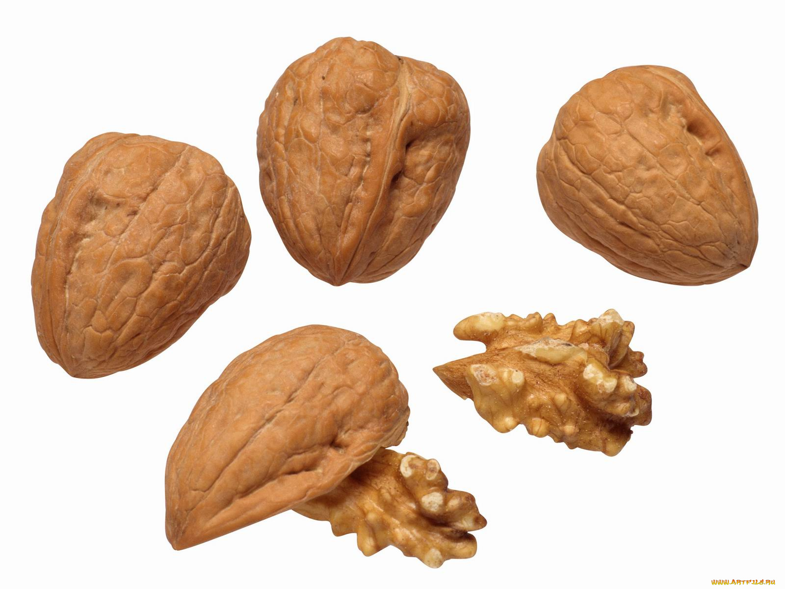 еда, орехи, каштаны