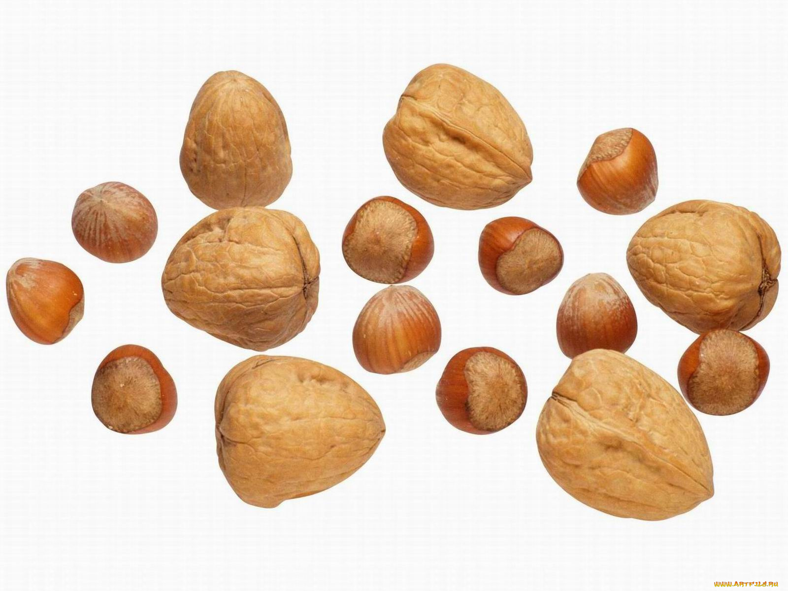 еда, орехи, каштаны