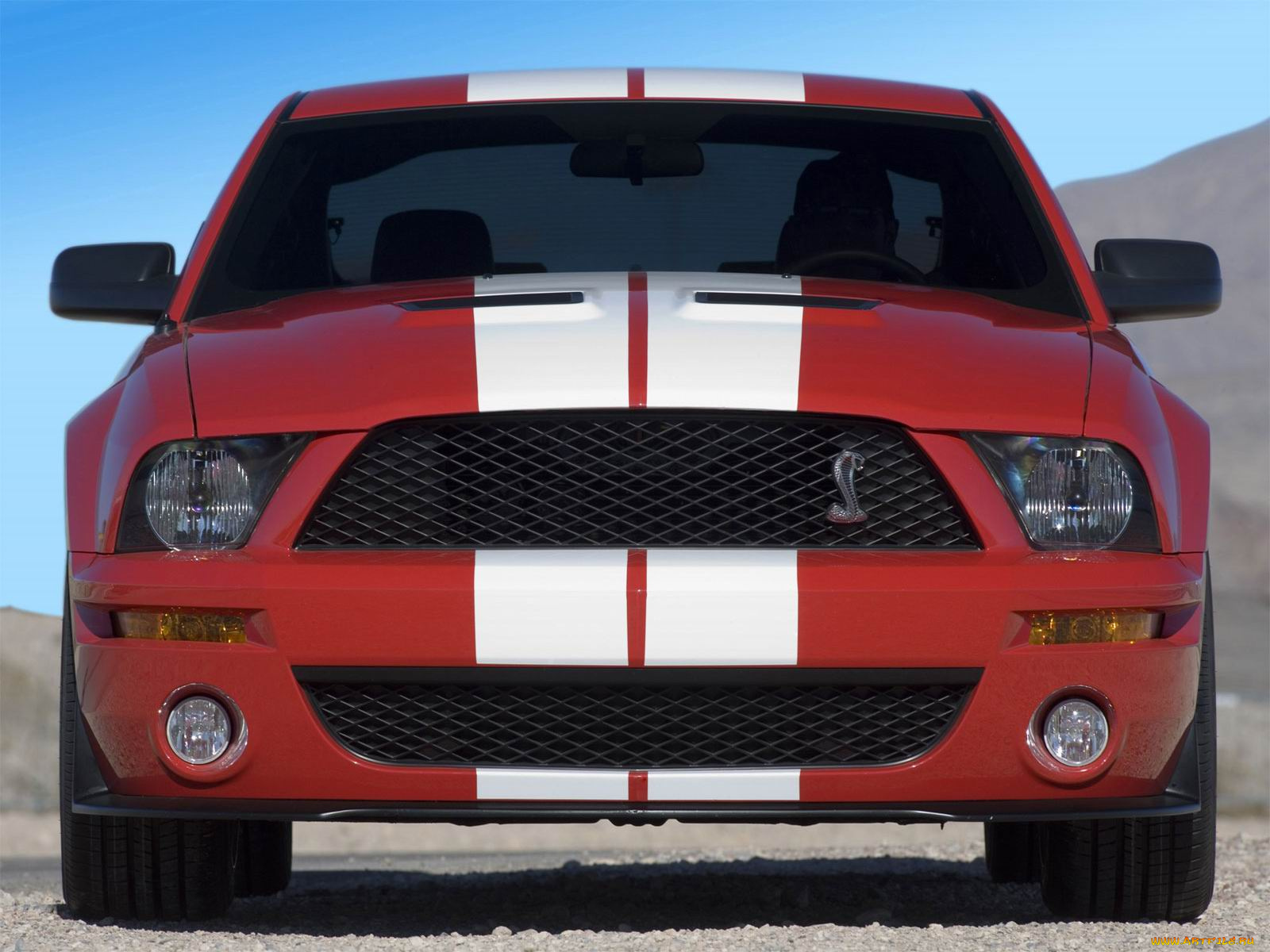 ford, shelby, gt500, 2007, автомобили