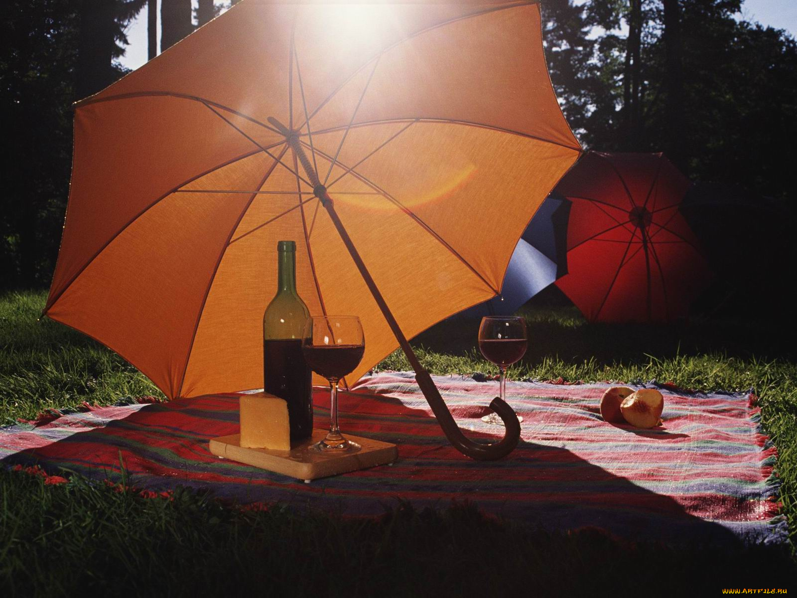 разное, сумки, кошельки, зонты