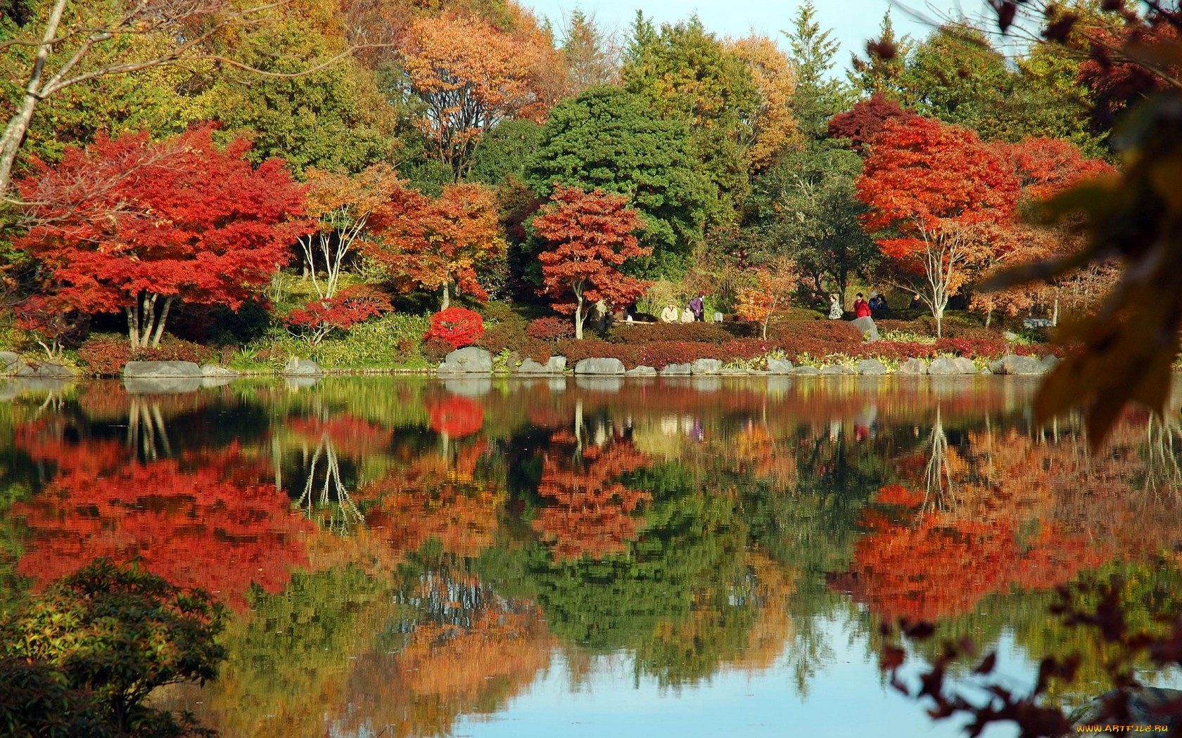 природа, реки, озера