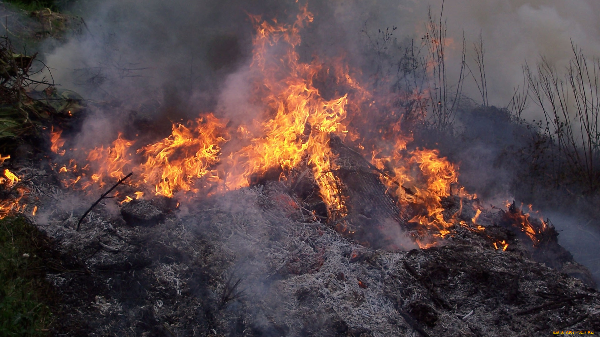 природа, огонь