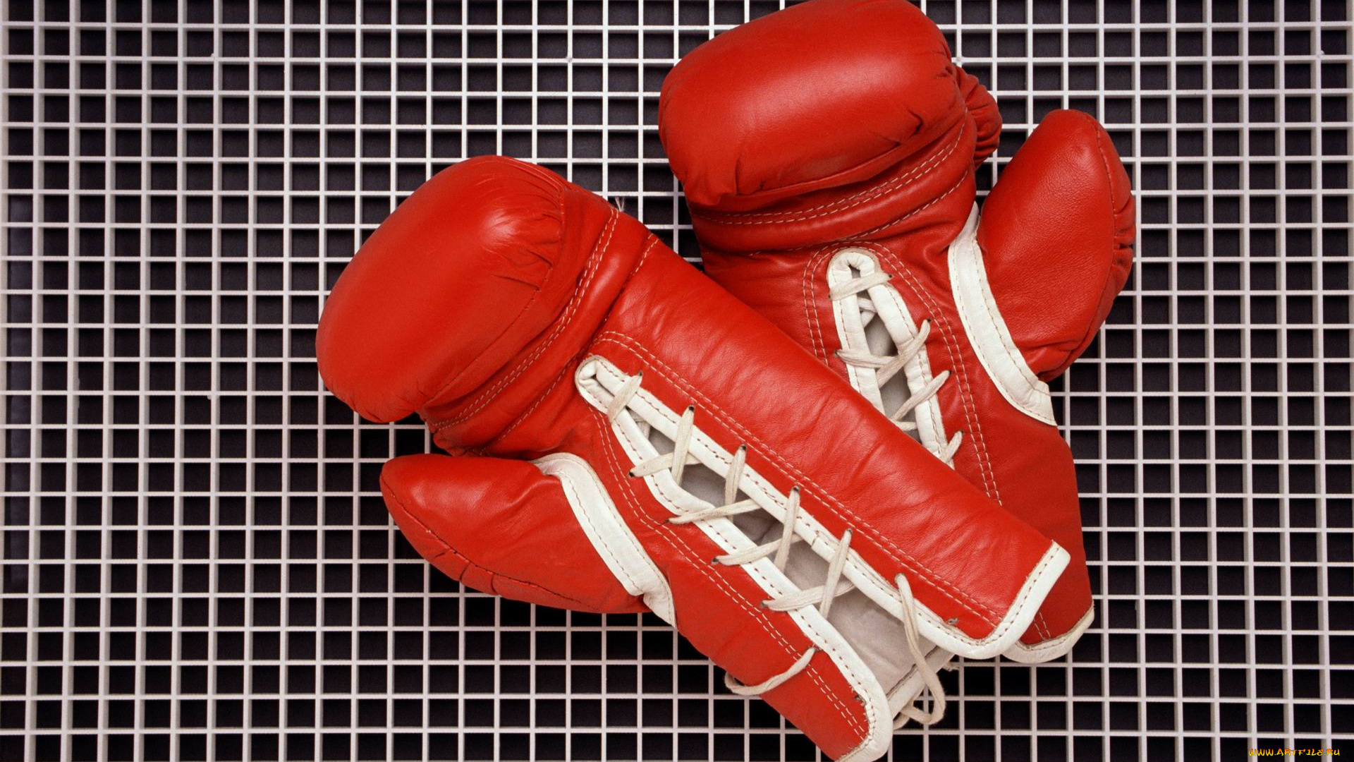 спорт, другое