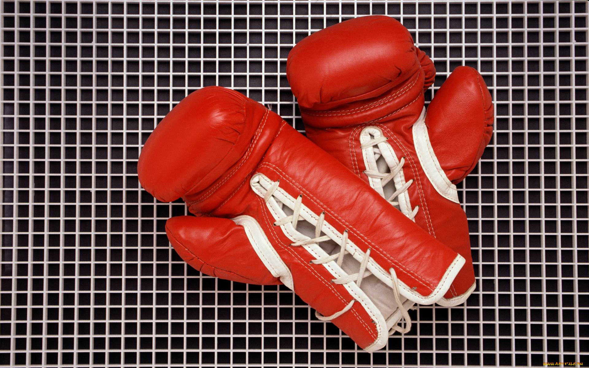 спорт, другое