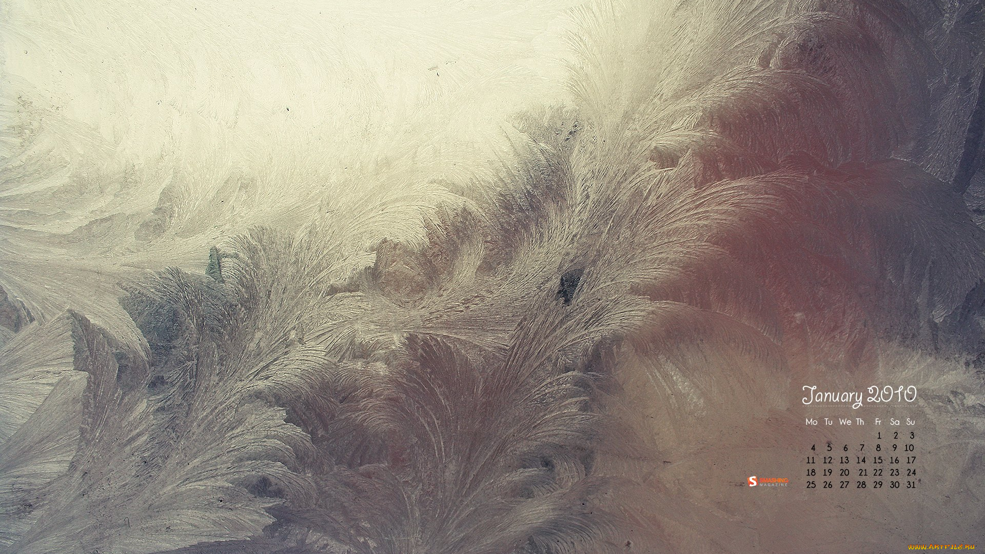 календари, природа