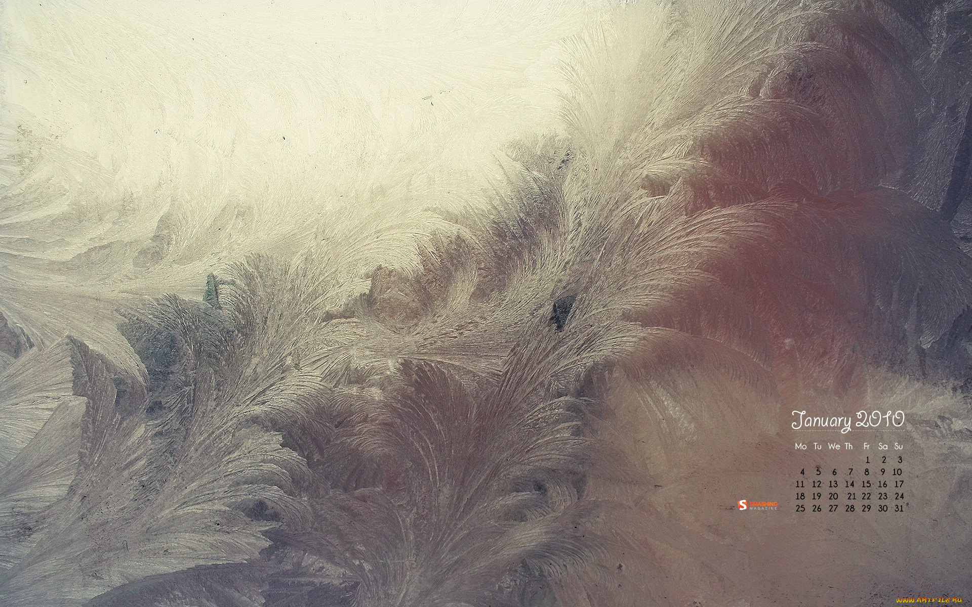 календари, природа