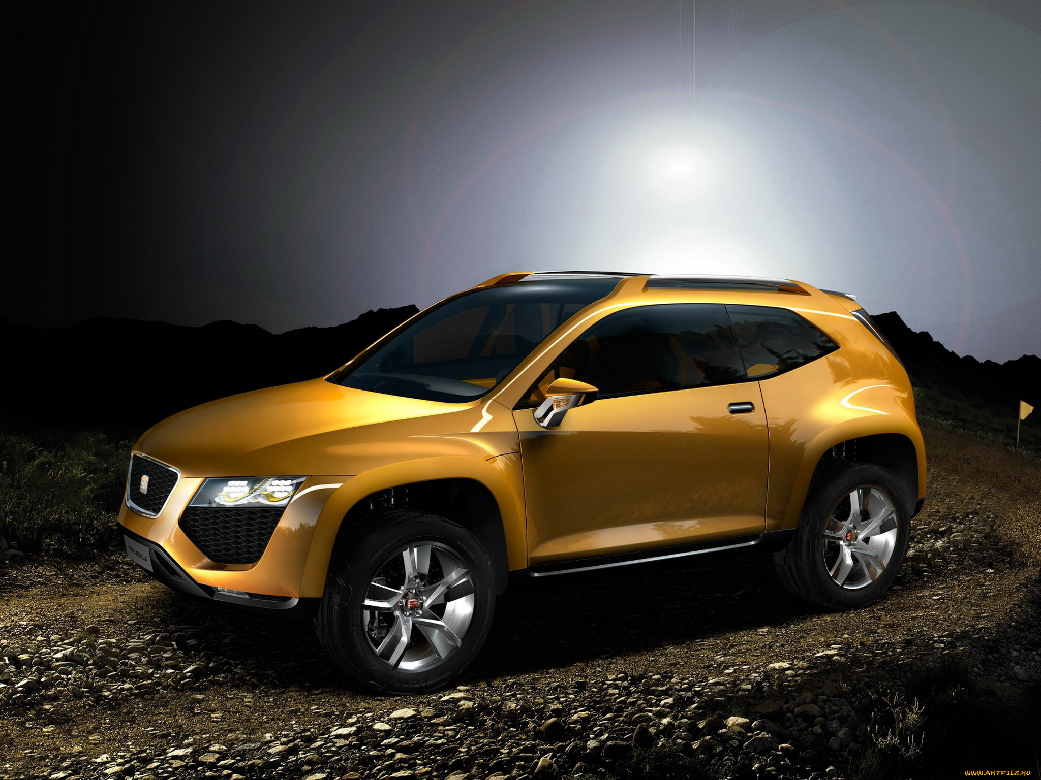 автомобили, seat