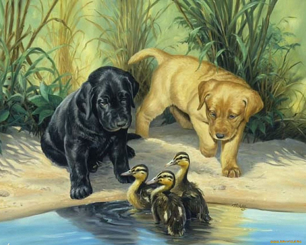 рисованные, животные