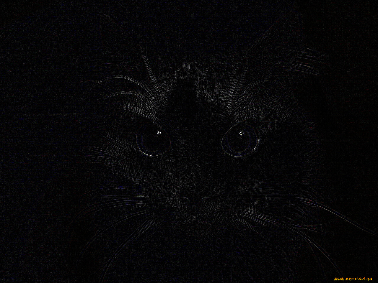 dark, cat, рисованные, животные, коты