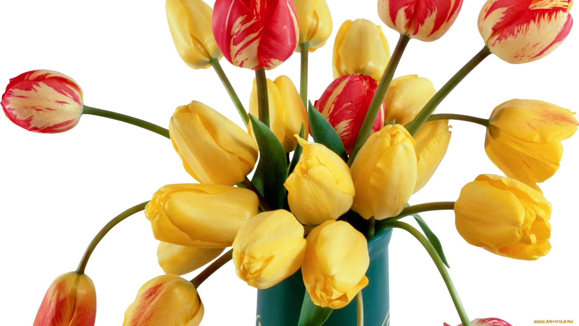 цветы, тюльпаны, много, ваза