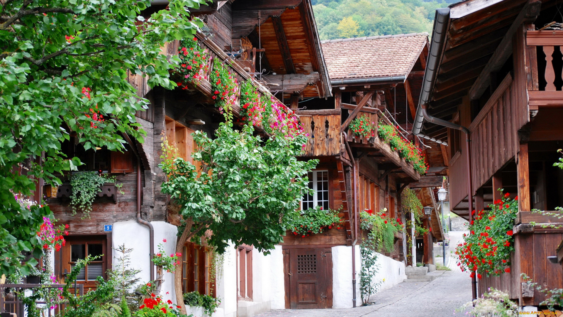 города, улицы, площади, набережные, дома, улочка, цветы