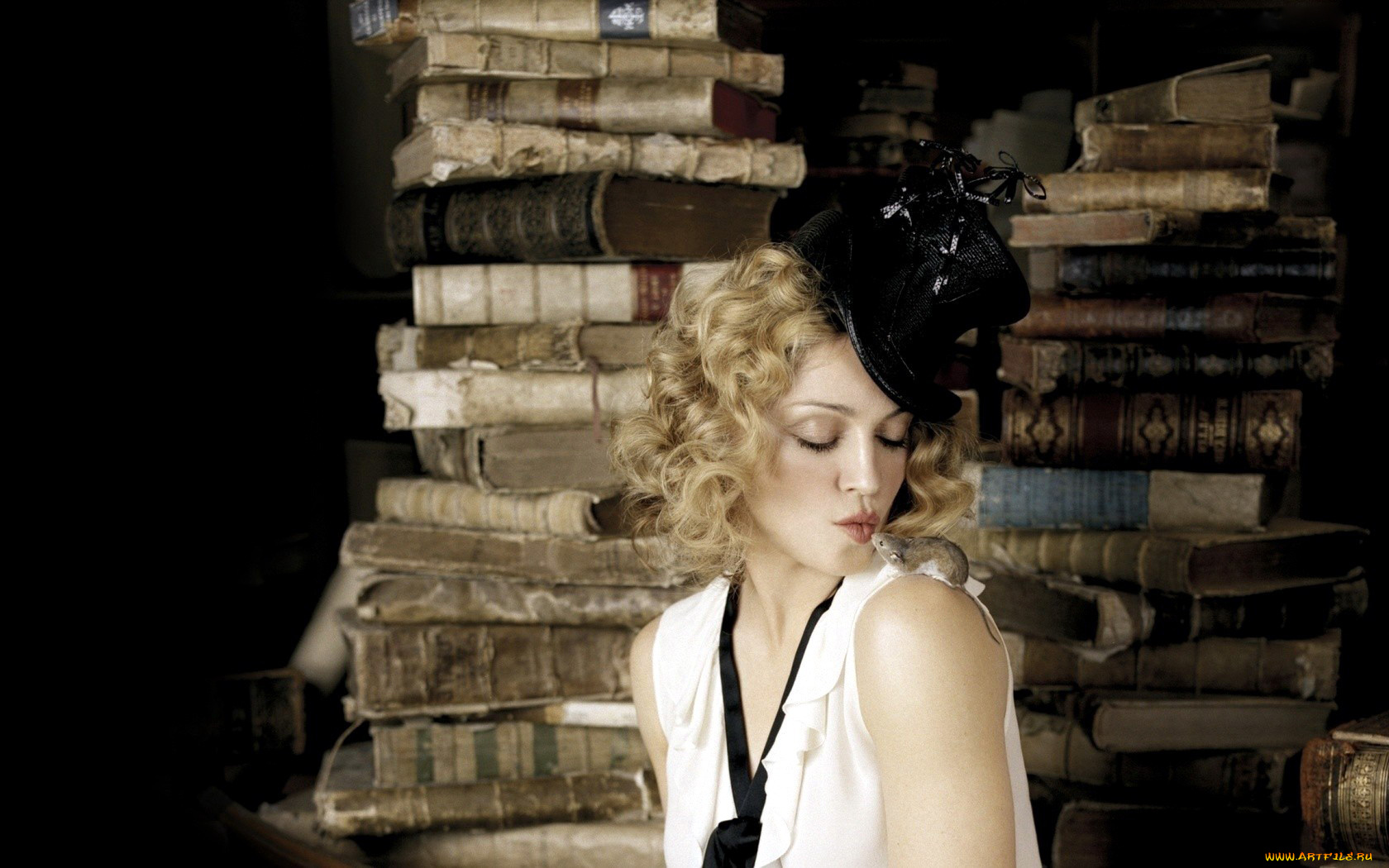 музыка, madonna, книги, шляпка, мышка