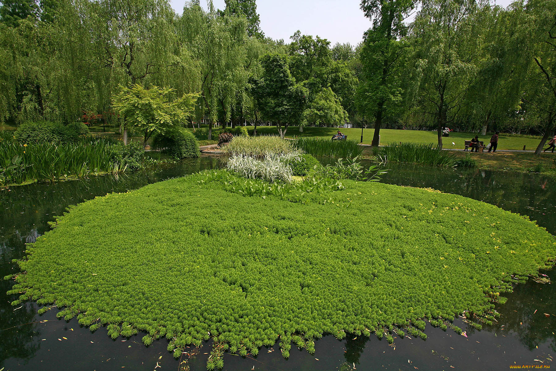 природа, парк, ландшафтный, ханчжоу