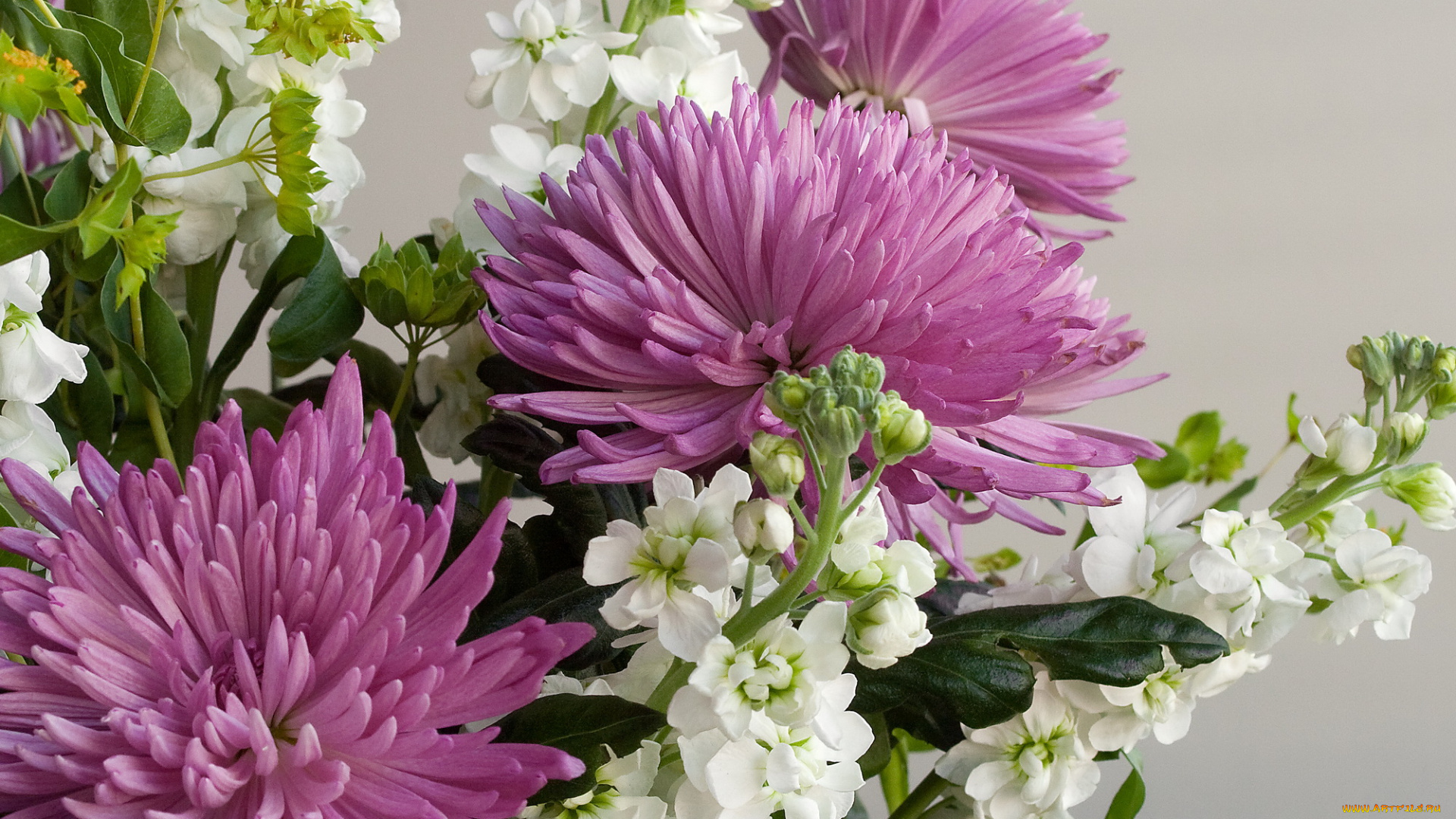 цветы, разные, вместе, хризантемы, букет