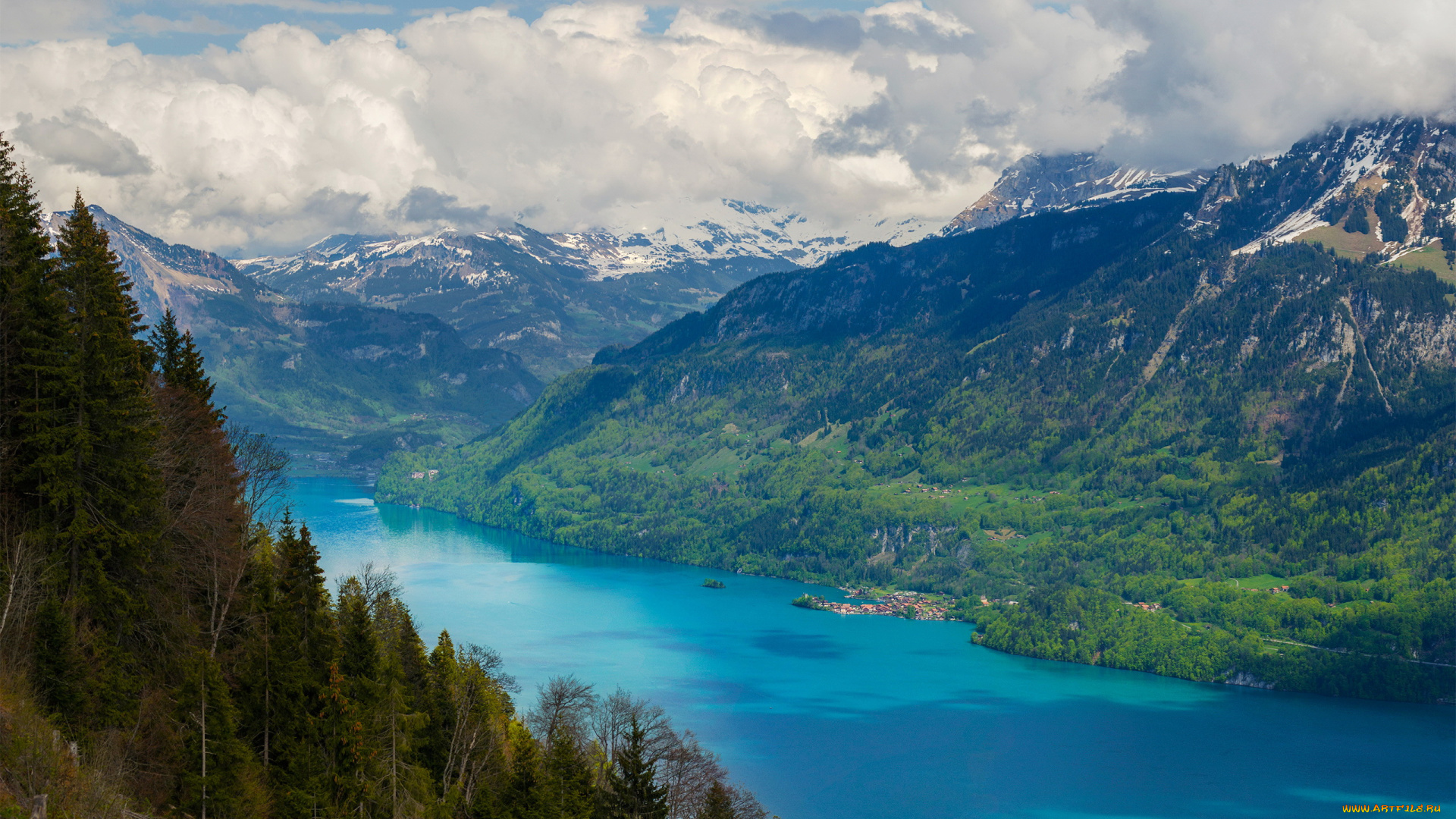 lake, brienz, brienzersee, switzerland, природа, реки, озера, озеро, горы