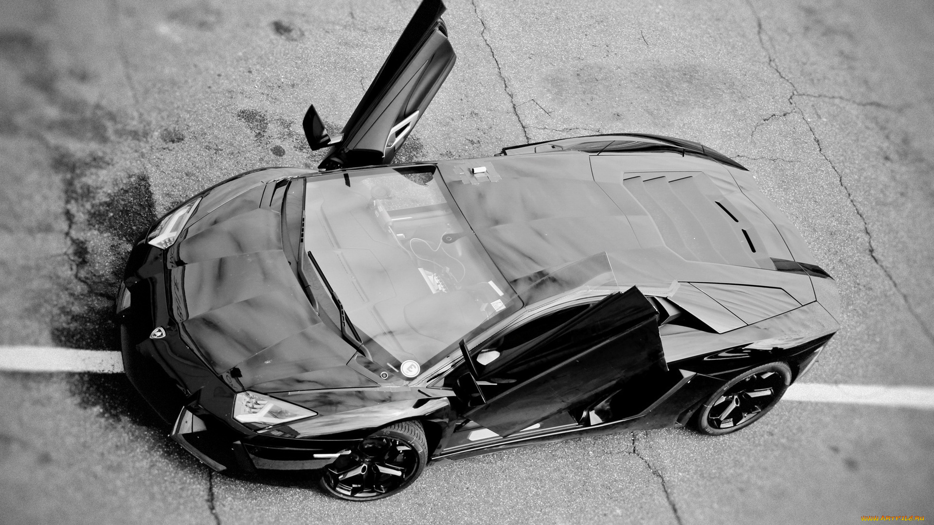 lamborghini, автомобили, двери, черно-белая