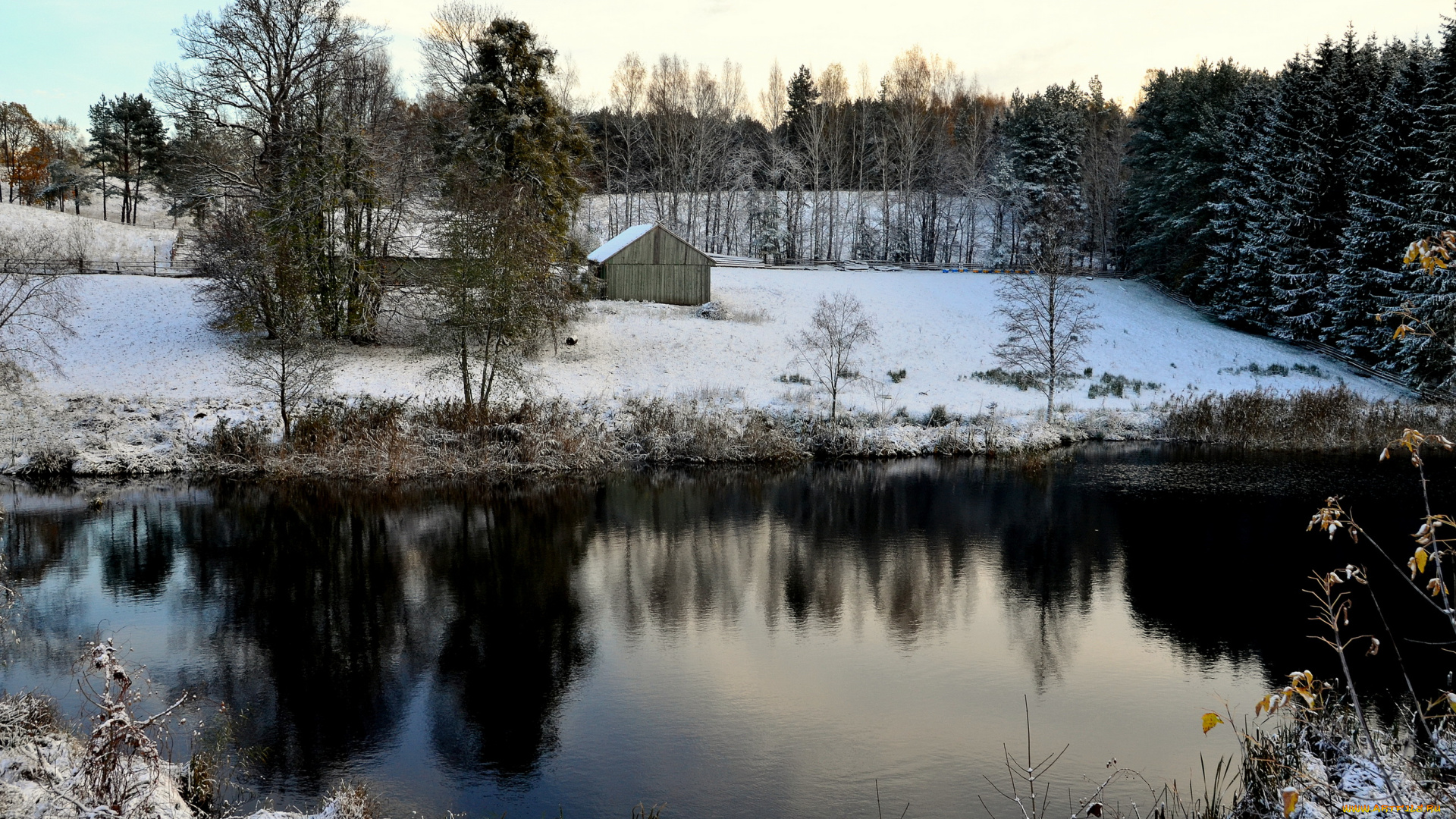 литва, пренай, природа, зима, снег, лес, река