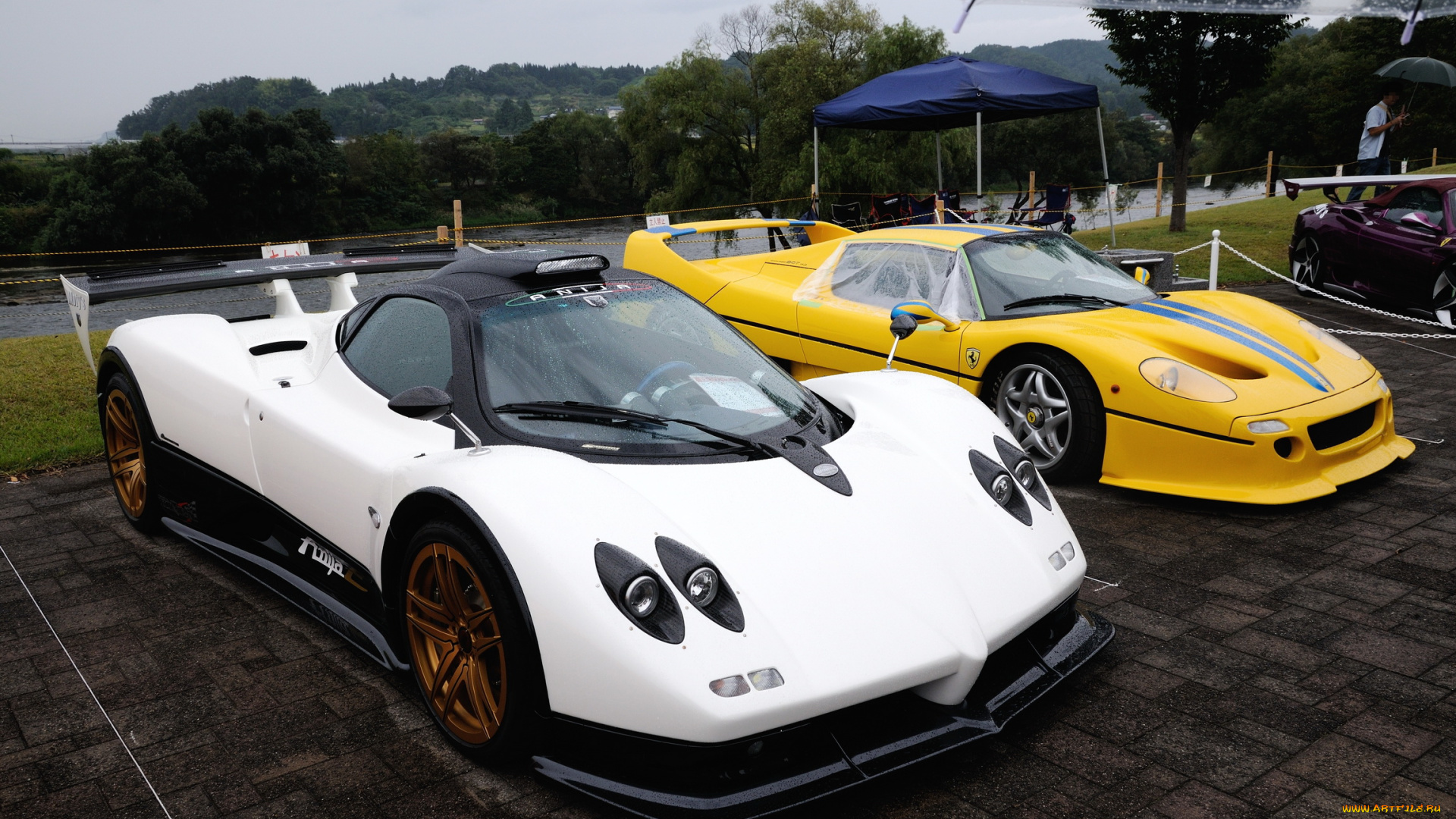 pagani, zonda, ferrari, f50, автомобили, разные, вместе