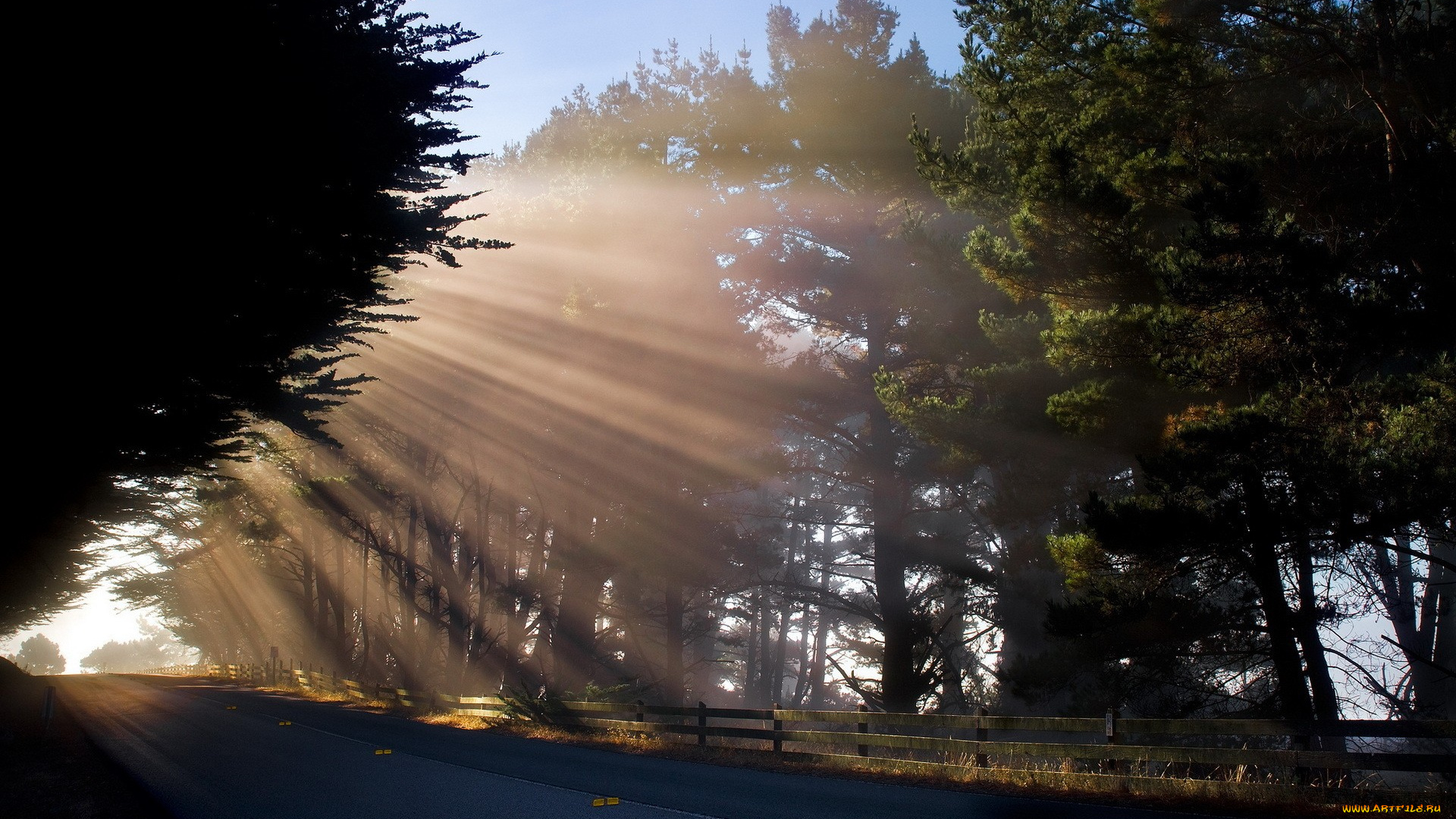 природа, дороги, деревья, лучи, дорога