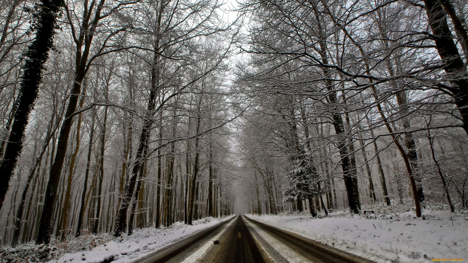 природа, дороги, лес, дорога, зима