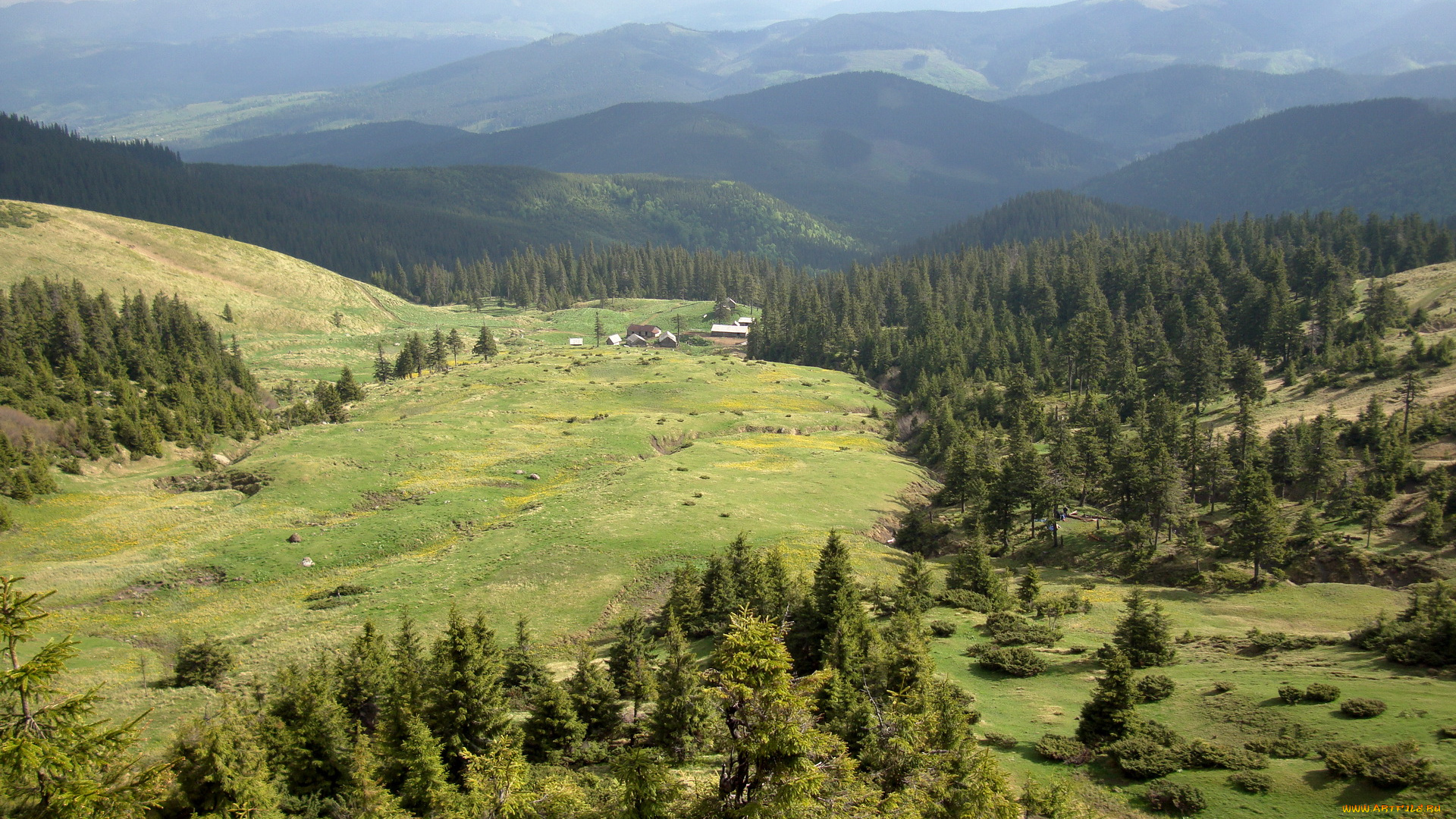 природа, пейзажи, карпаты, украина, Чорногора