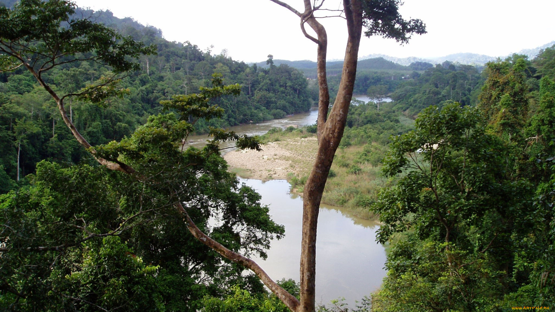 природа, реки, озера, река, лес