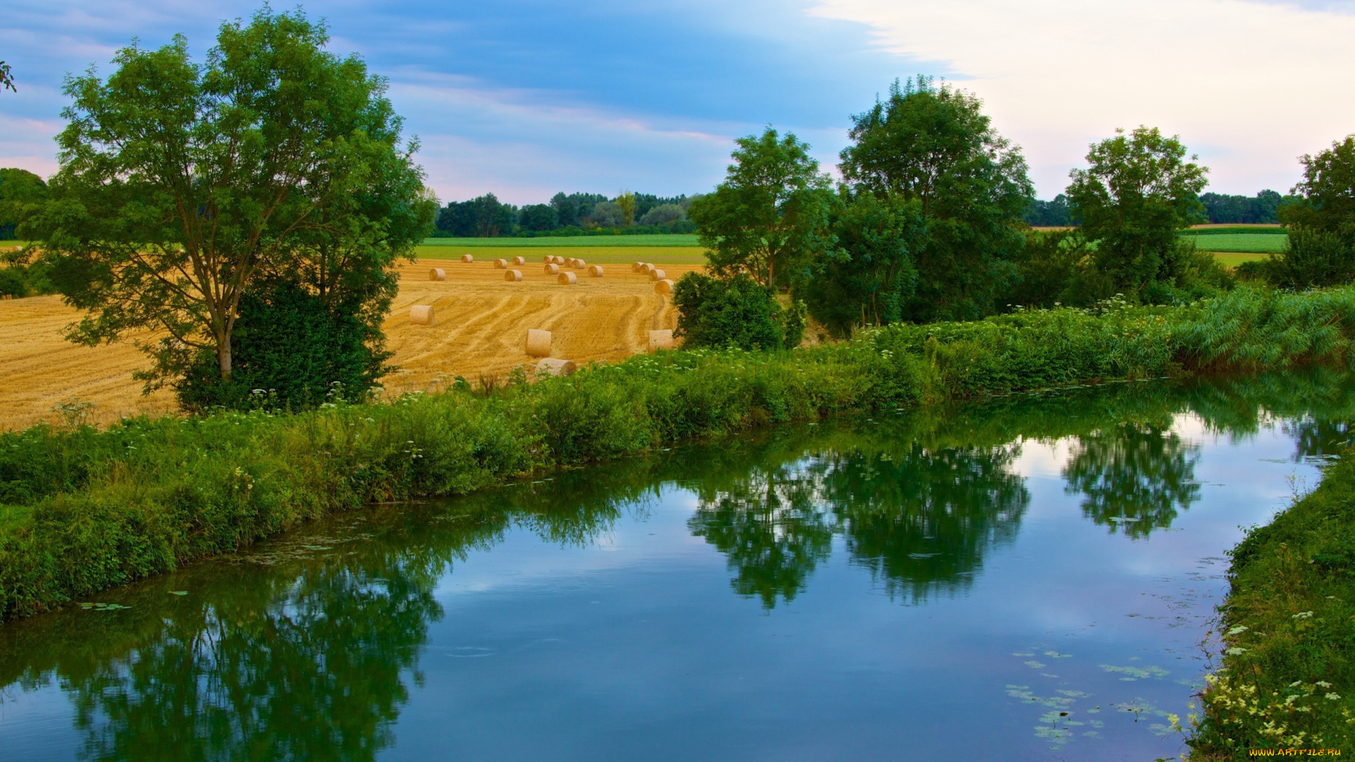 природа, реки, озера, река, поле