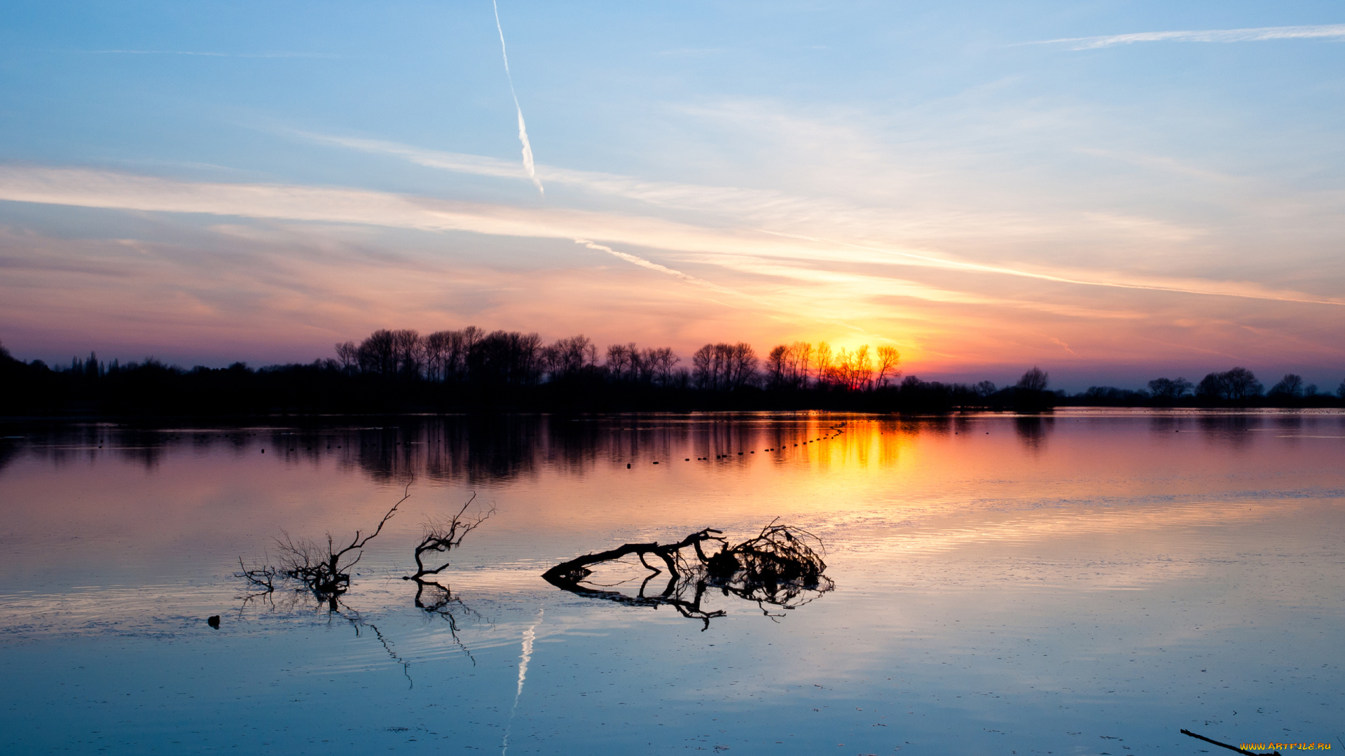 природа, восходы, закаты, закат, озеро, коряга