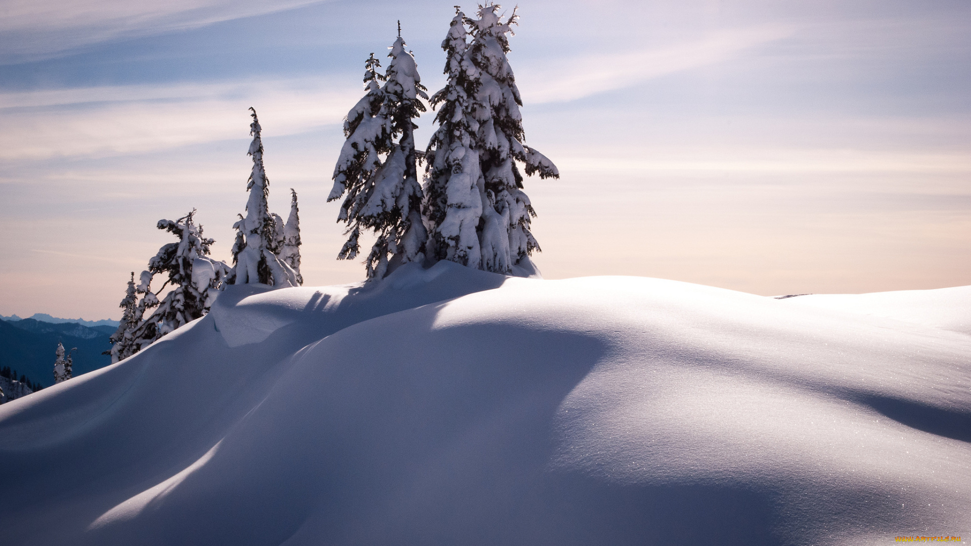 природа, зима, мороз, снег, ели, joel, dewaard, photography