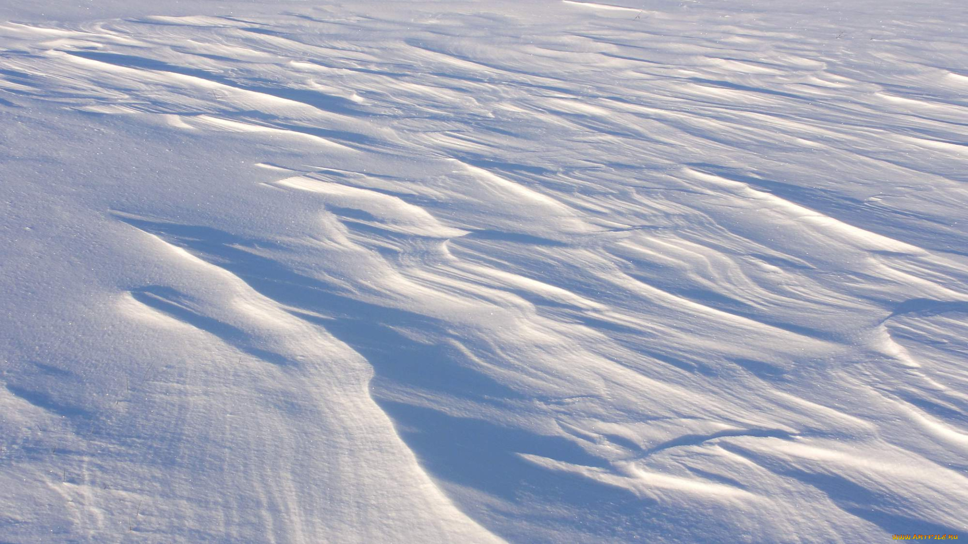 природа, зима, снег