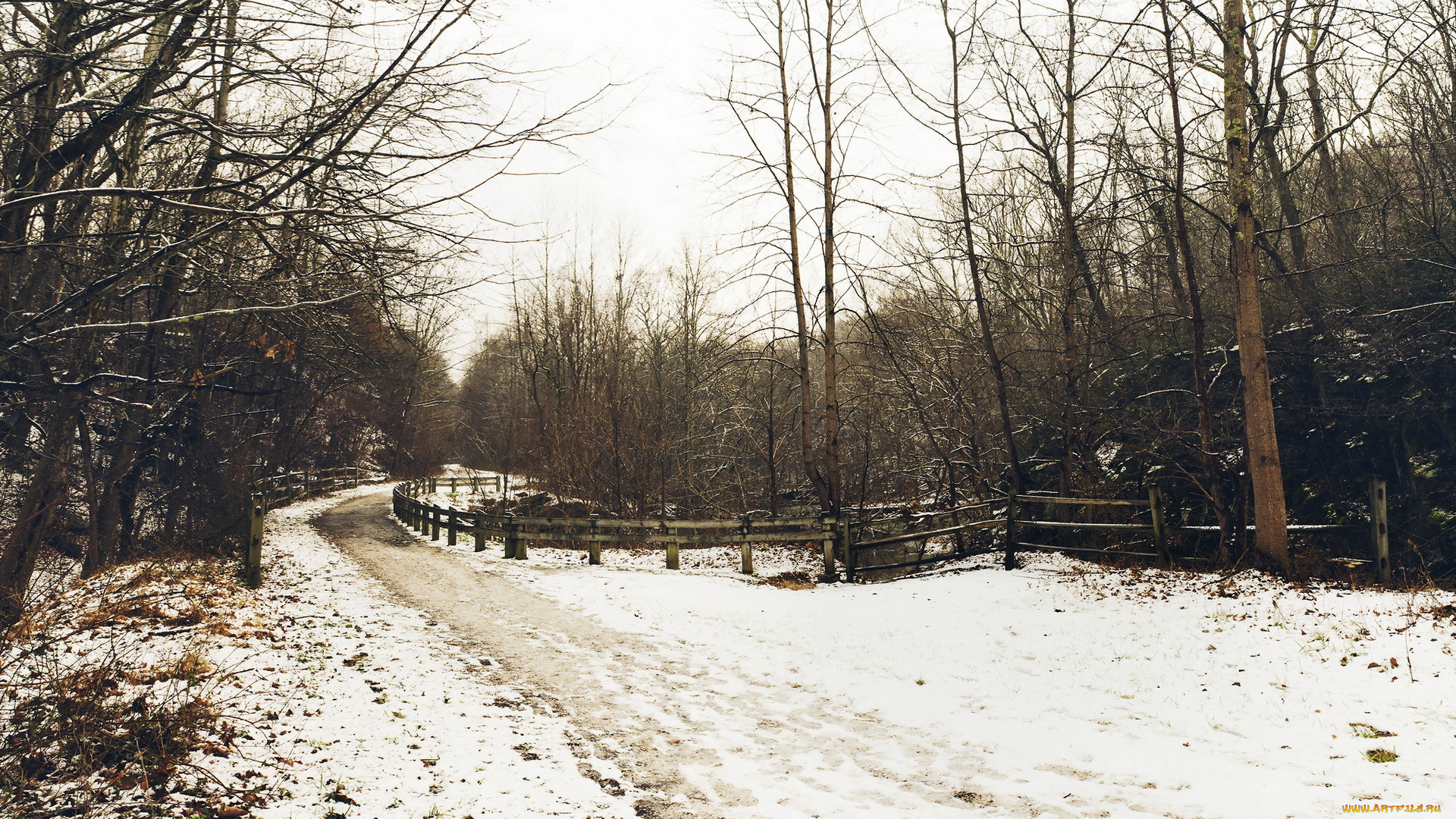природа, зима, снег, деревья, забор, пейзаж